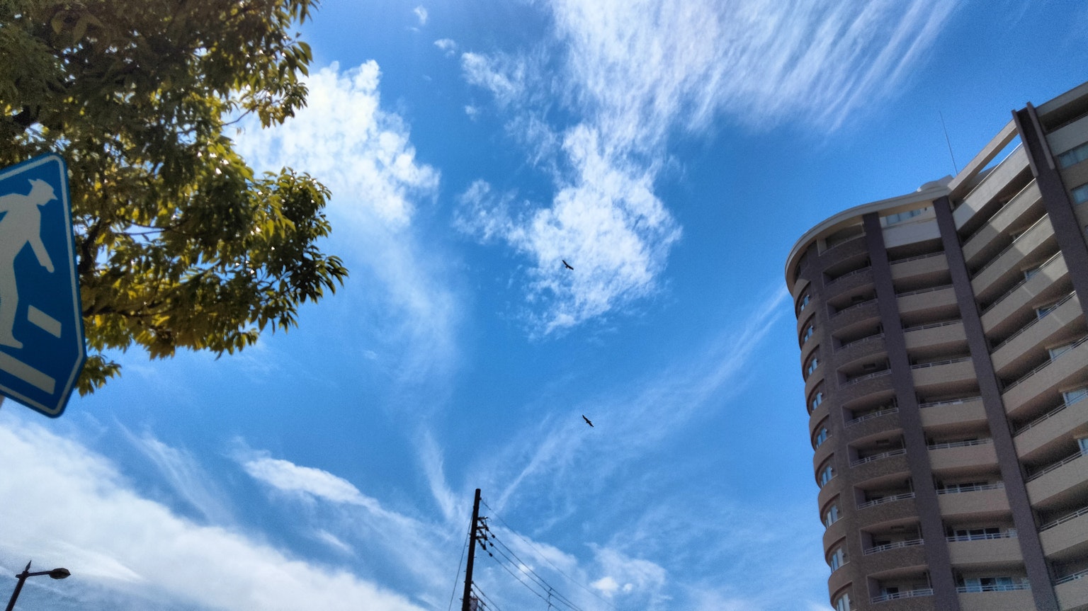 城市風景，藍天和雲朵以及人行道標誌