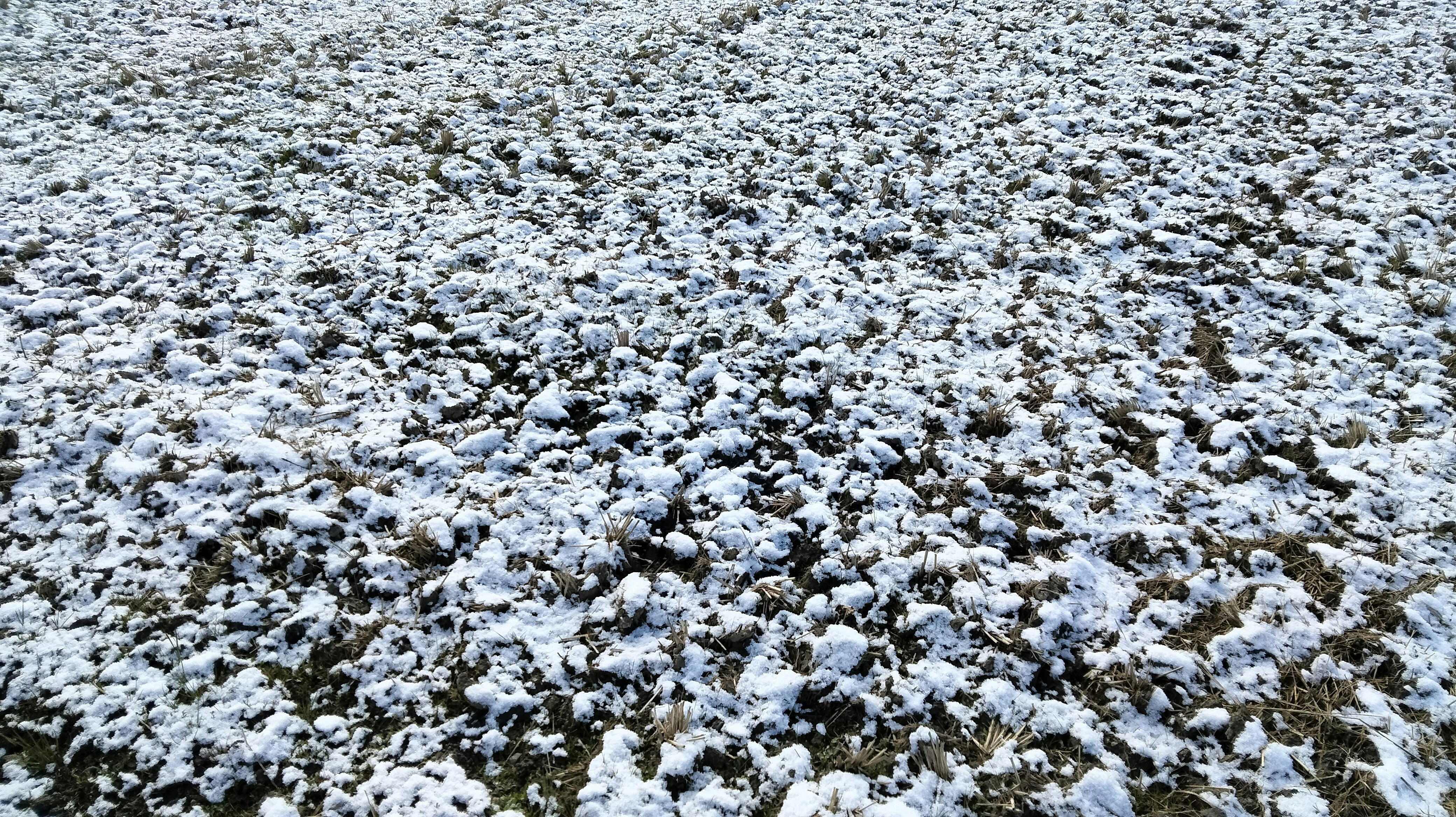 覆盖积雪的地面一片