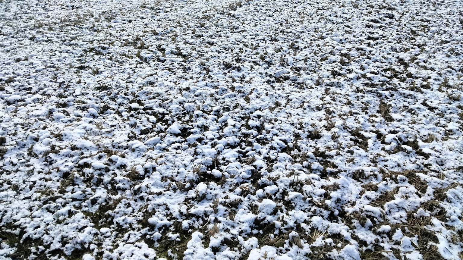 Un paysage recouvert d'objets blancs éparpillés