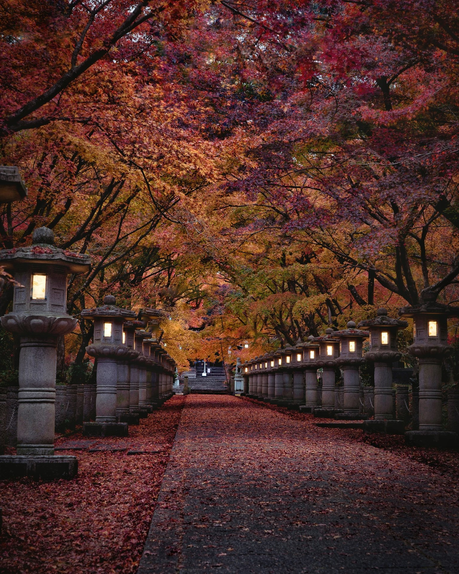 เส้นทางที่มีทิวทัศน์สวยงามเรียงรายไปด้วยใบไม้ฤดูใบไม้ร่วงและโคมไฟหิน
