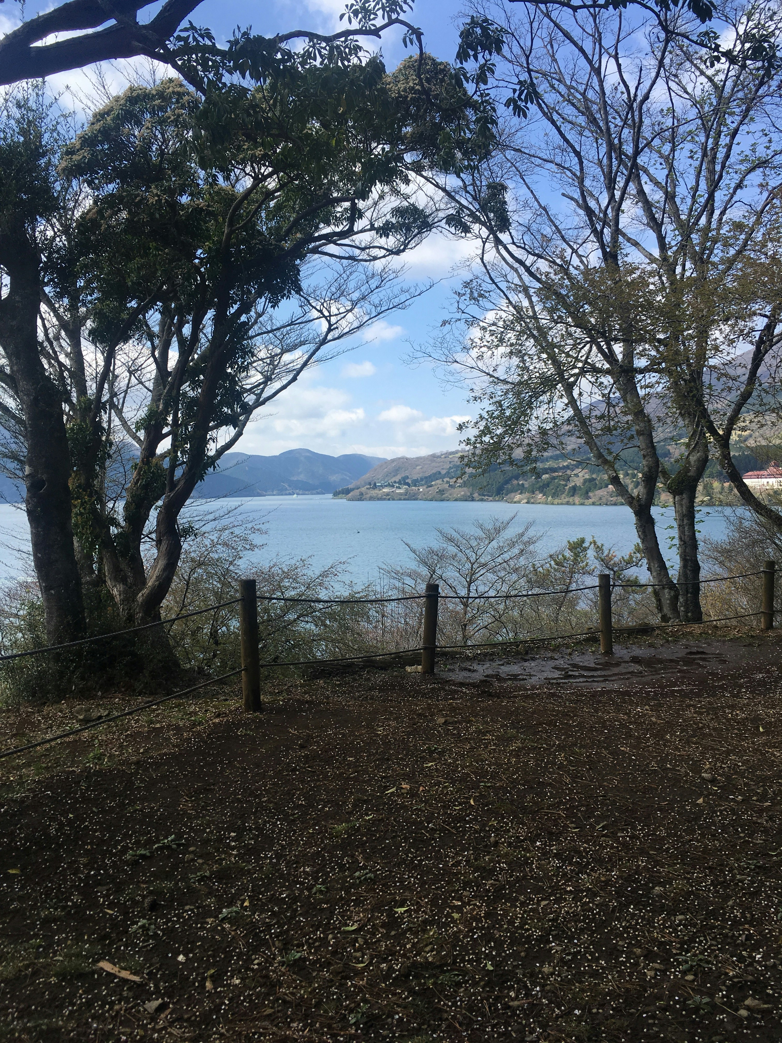 湖边树木与远处山脊的风景