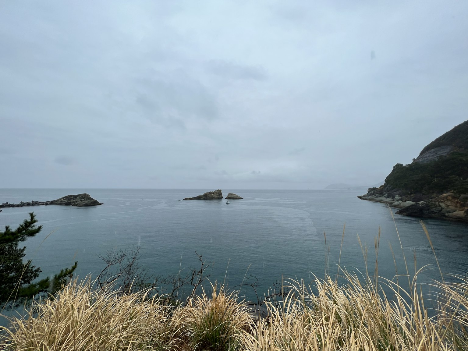 Vista costera con rocas y mar tranquilo