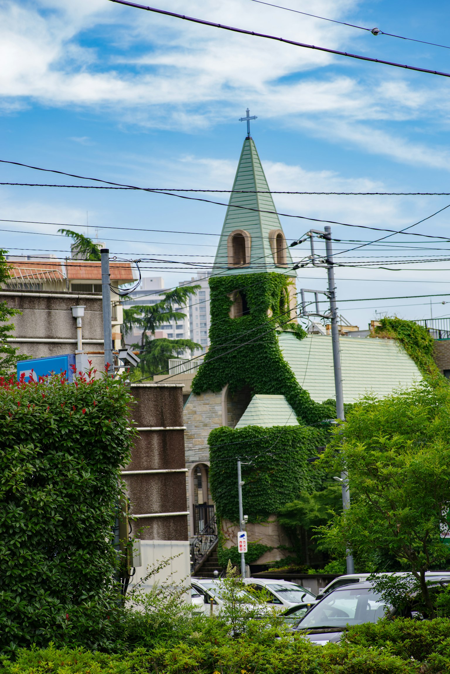 Campanario de iglesia cubierto de vegetación bajo un cielo azul