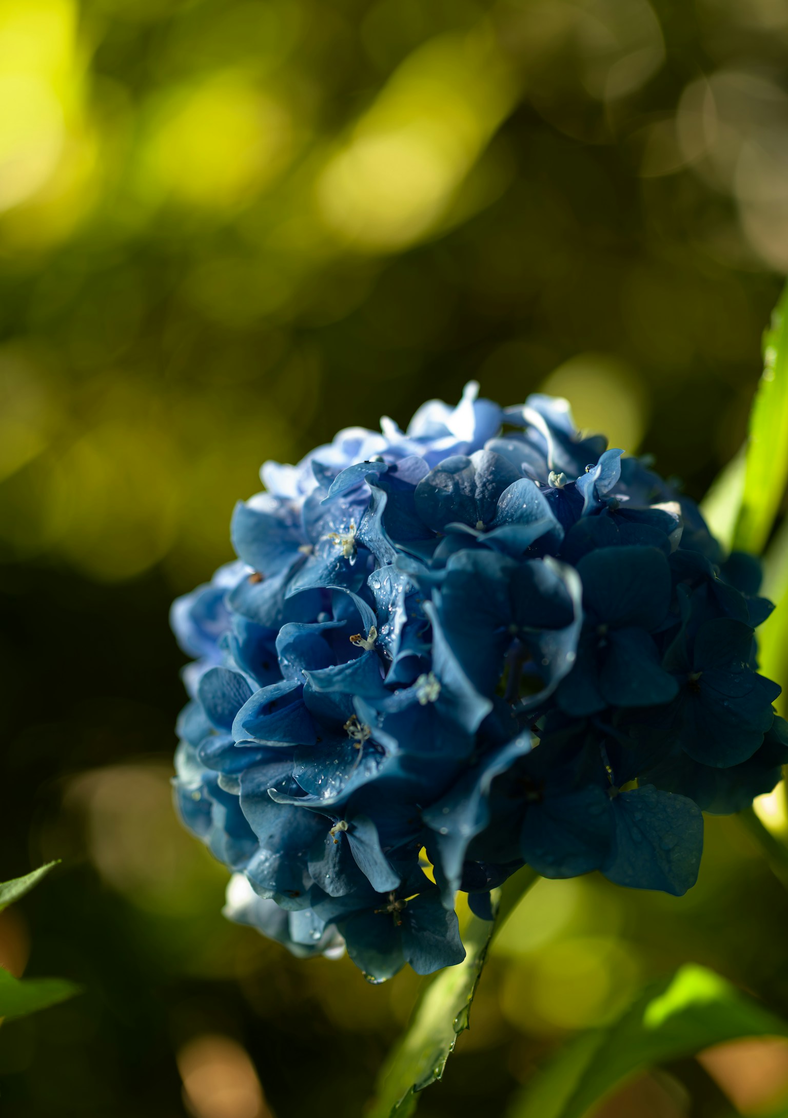 photo-EwER9NYgi63vNtJB6gMX-image
