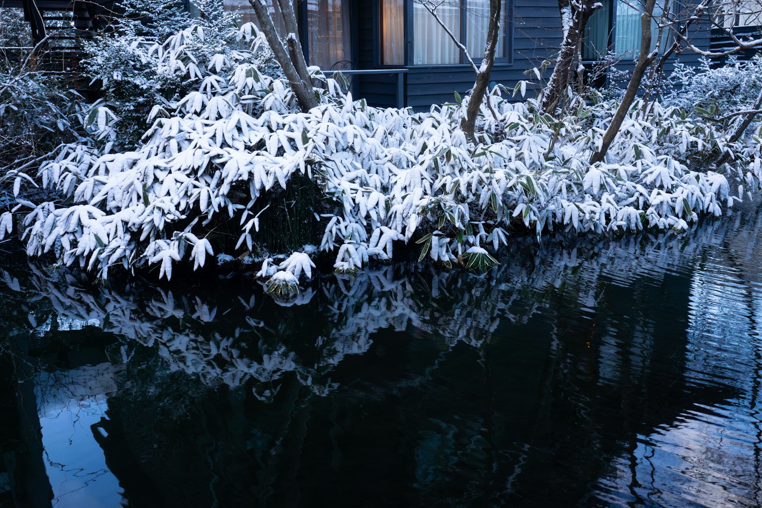 Escena invernal con árboles cubiertos de nieve y reflejos en el agua