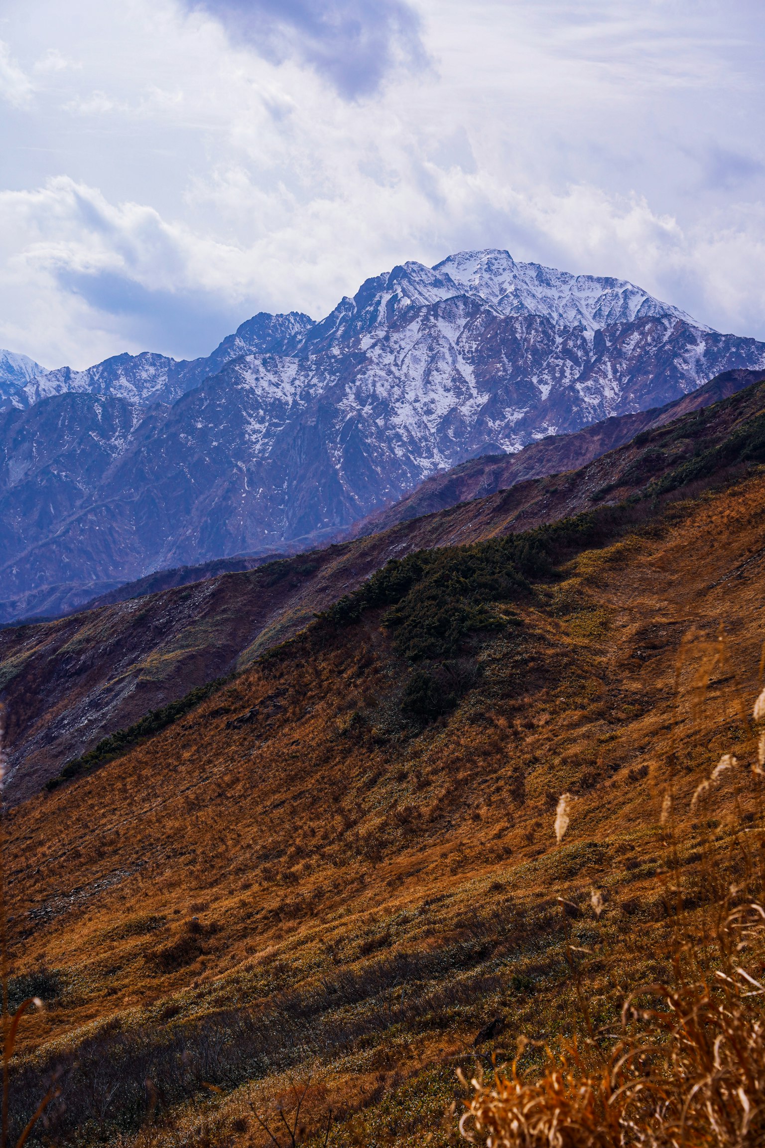 Paisaje con montañas nevadas y colinas onduladas