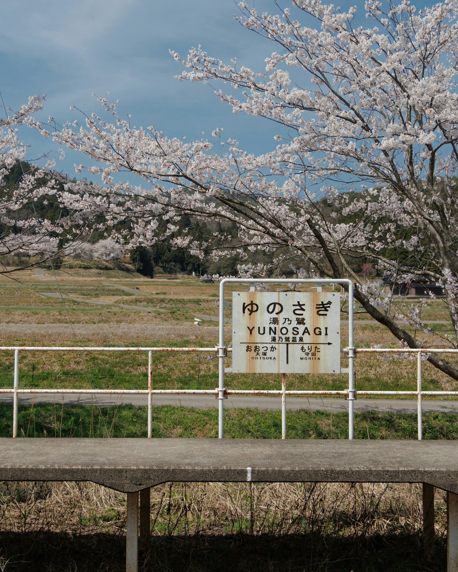 Cartel de estación rural con árboles de cerezo en flor