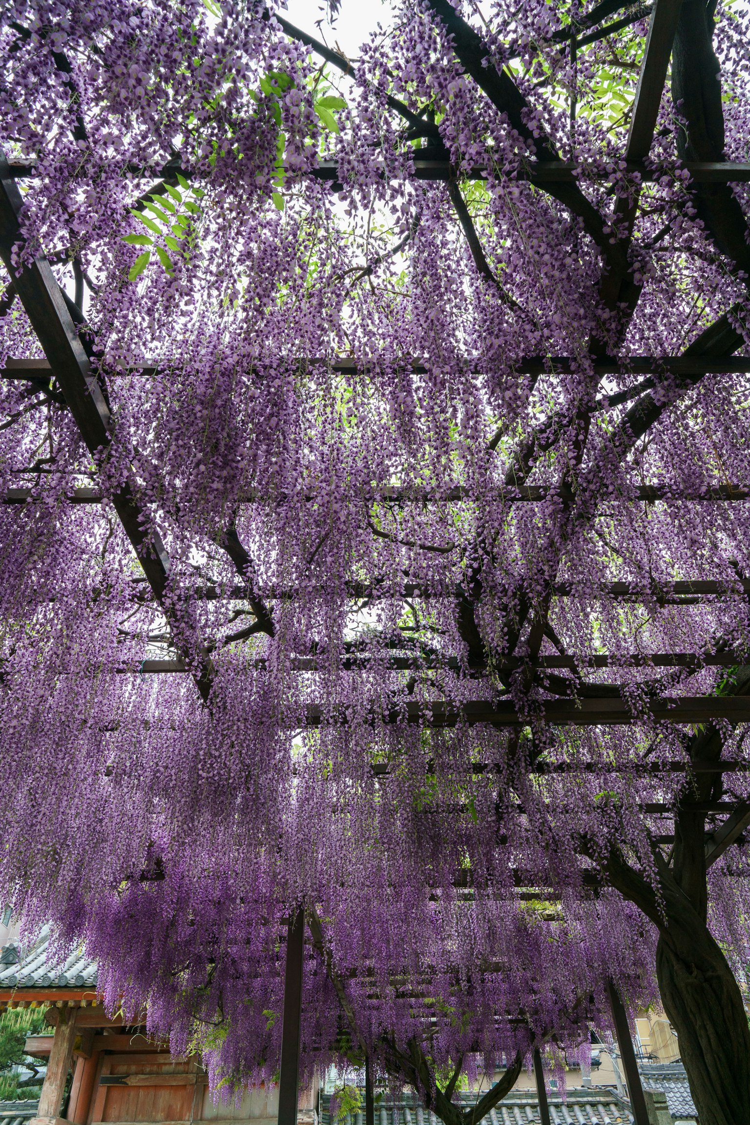 photo-Ey7NyoxtAU9K1aZBMn2c-image