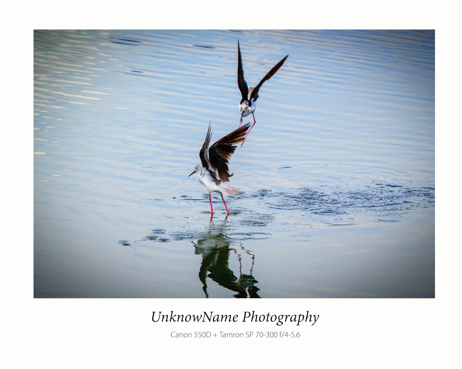 photo-EySEDqWInjI99kqoM3mq-image