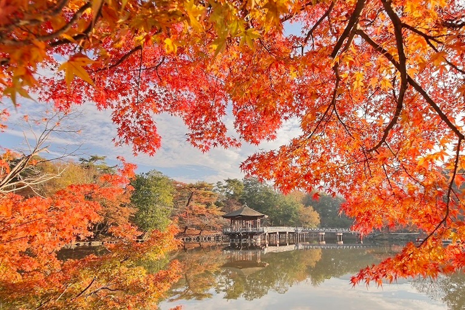 Vista panoramica di un lago circondato da fogliame autunnale vibrante e un padiglione