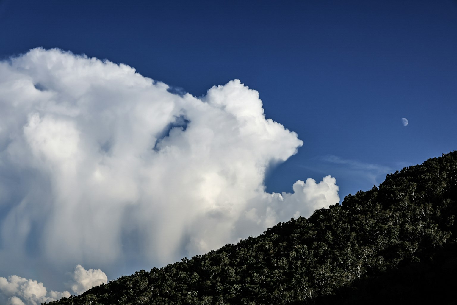 Nuvole bianche che fluttuano in un cielo blu sopra il profilo di una montagna verde