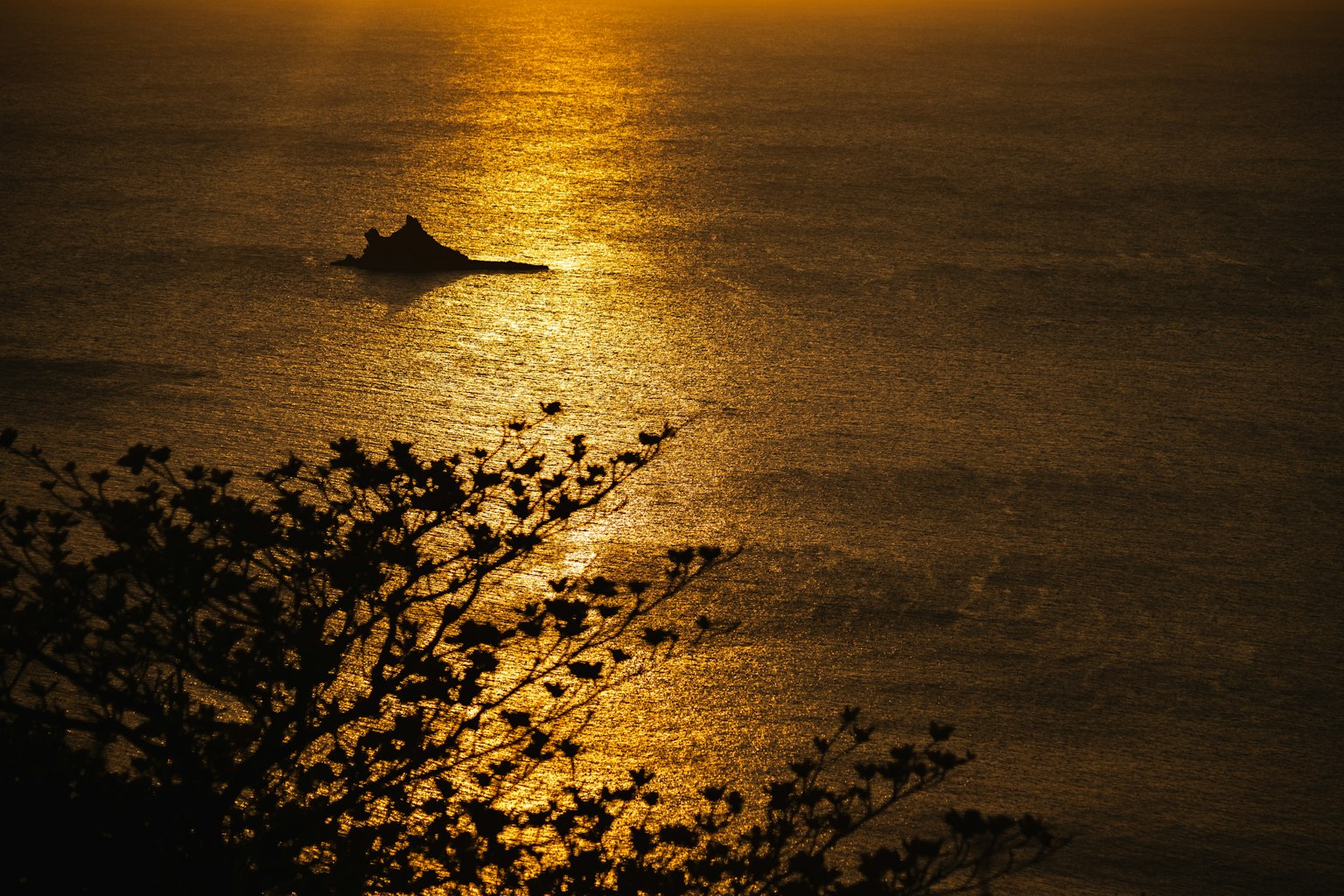 photo-Eyssu9Ol5tre5w68Nj00-image