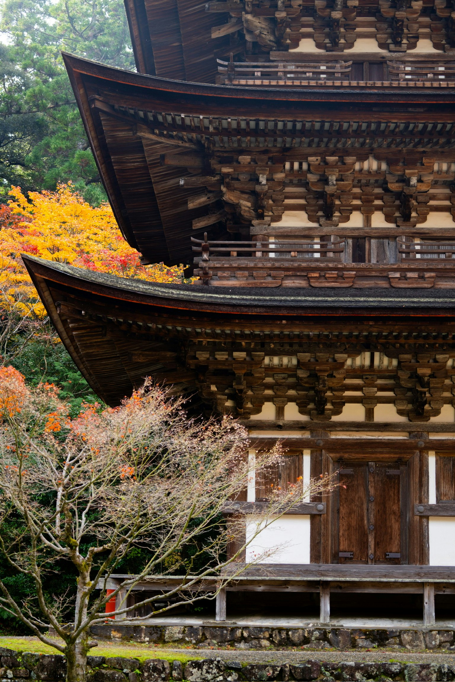 Traditionelle japanische Tempelarchitektur mit herbstlichem Laub