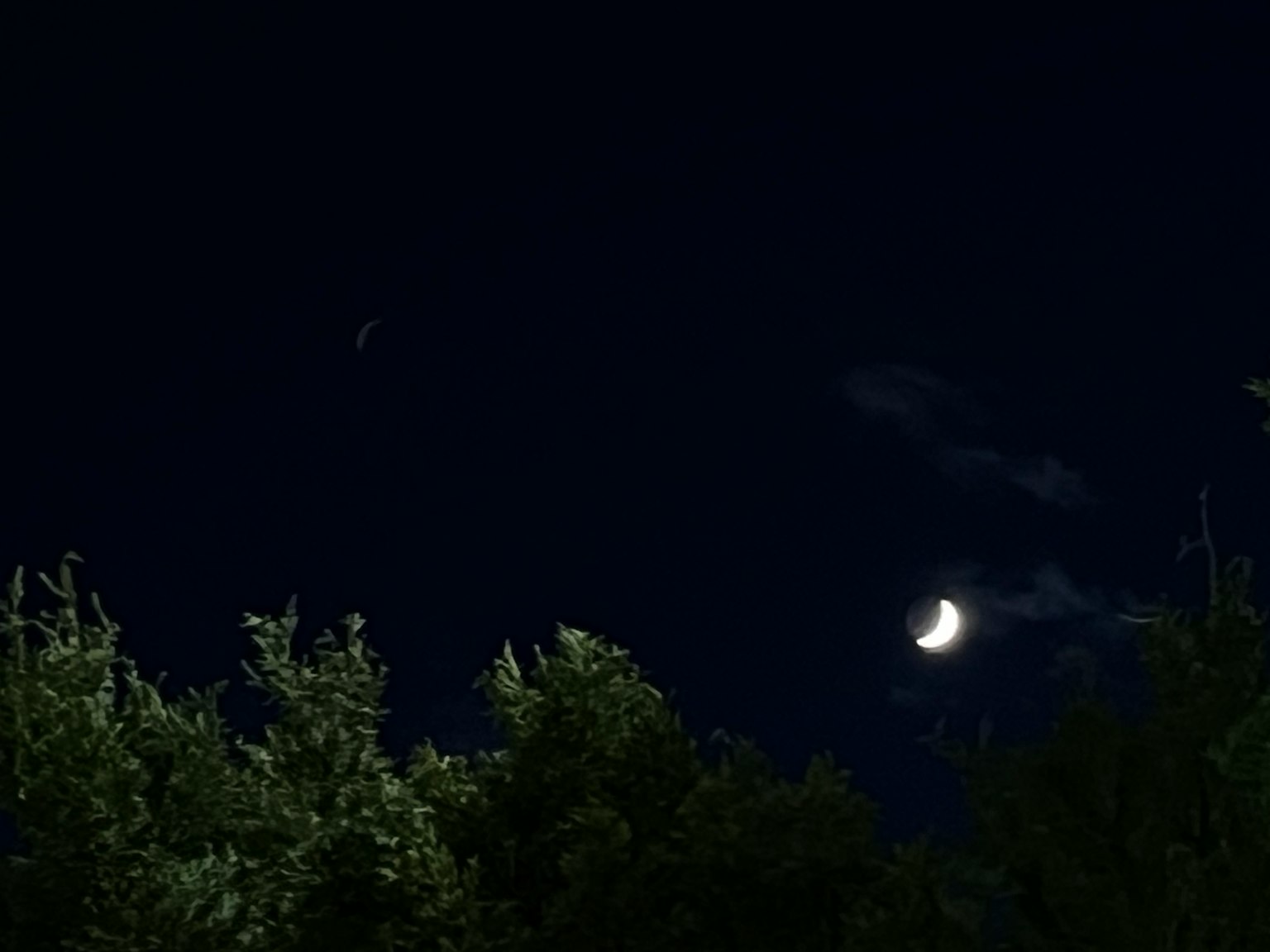 Una luna crescente nel cielo notturno con vegetazione in primo piano
