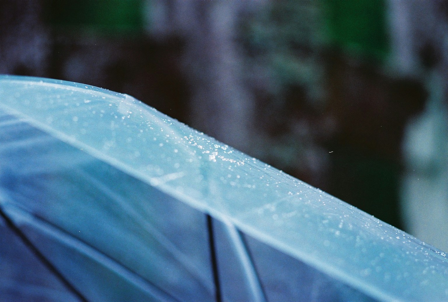 藍色雨傘的特寫，水滴在模糊的綠色背景上