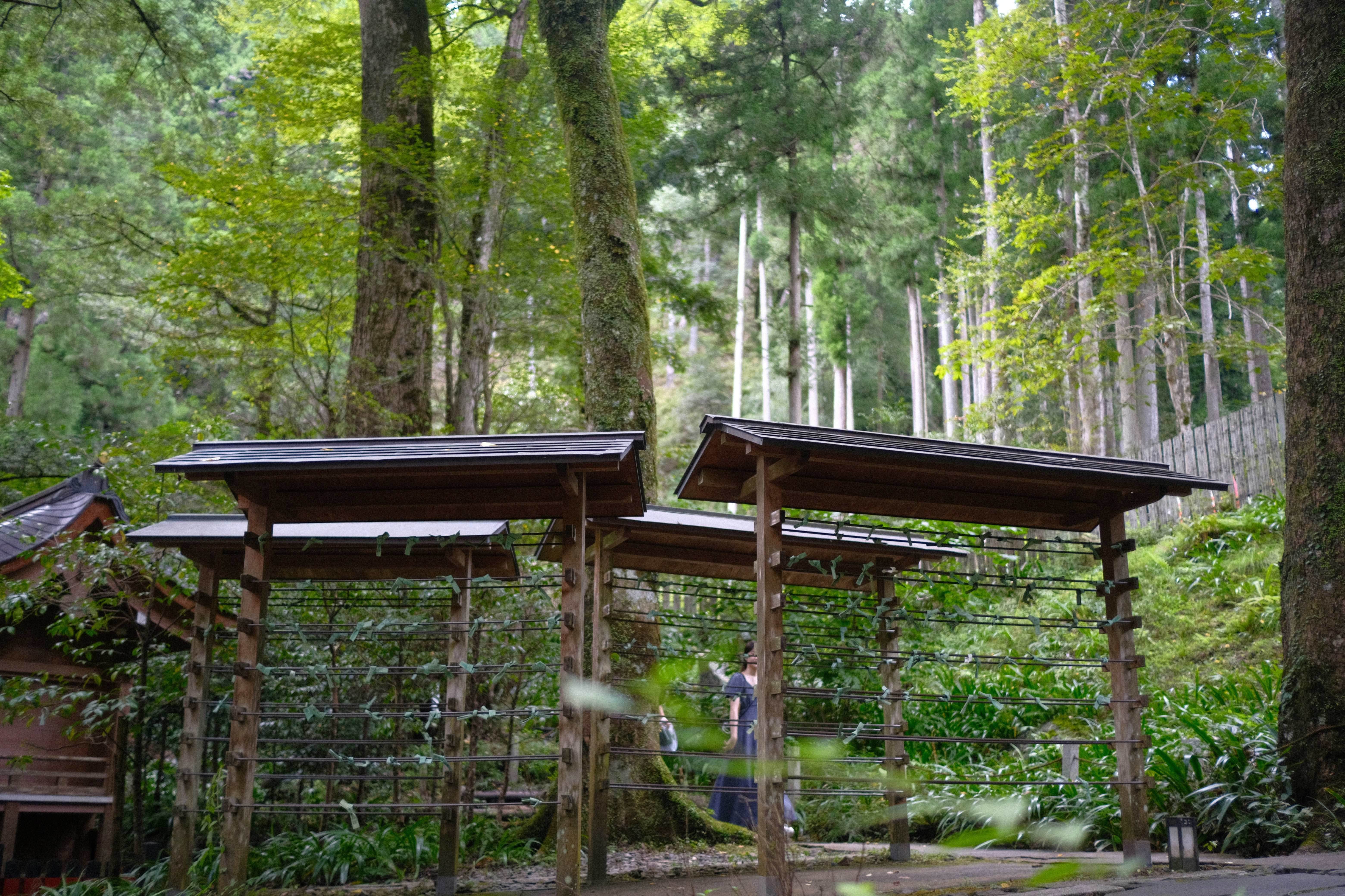 竹林の小径にある木製の鳥居風ゲートと石畳