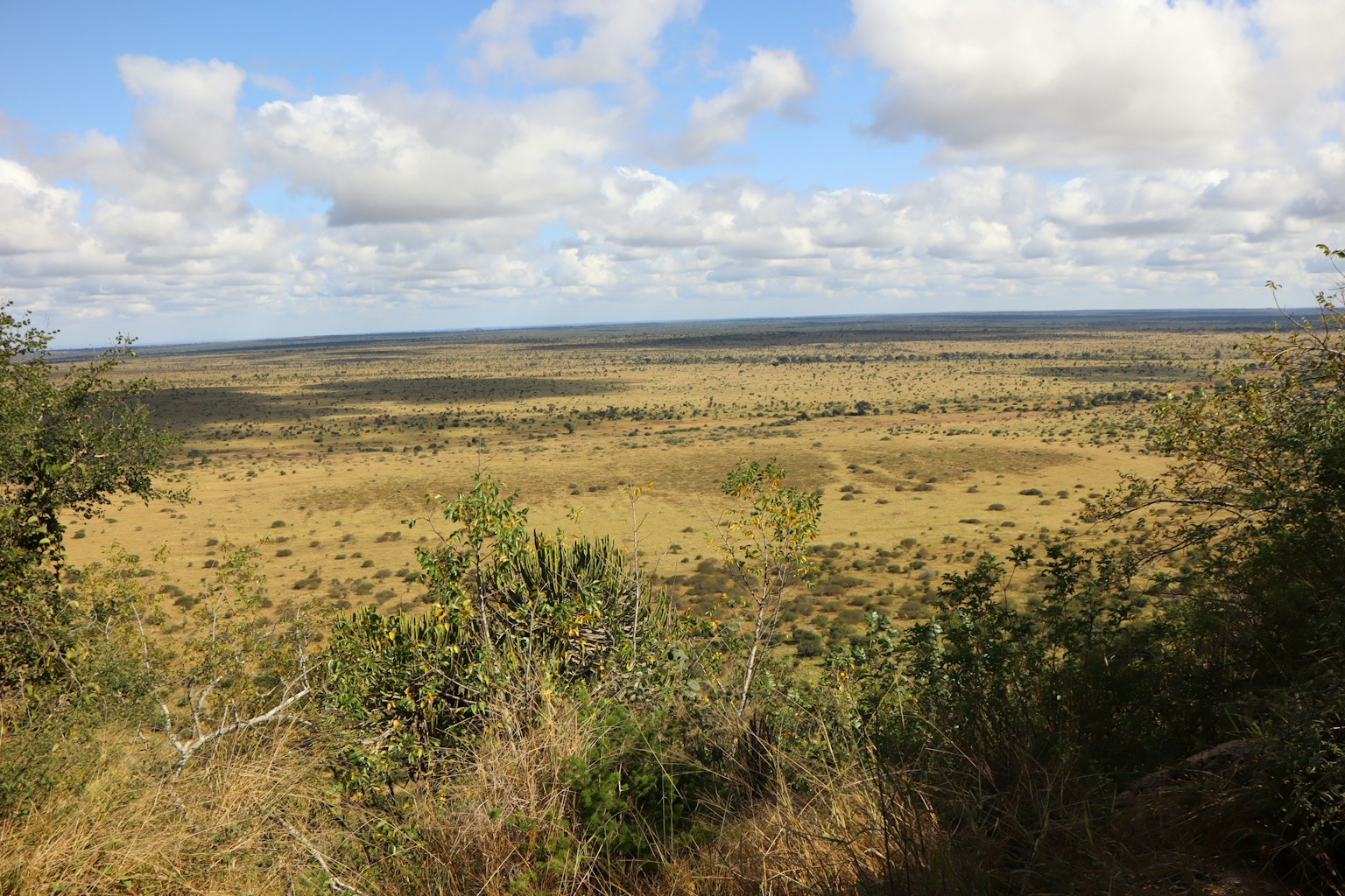 Weite Graslandschaft unter blauem Himmel