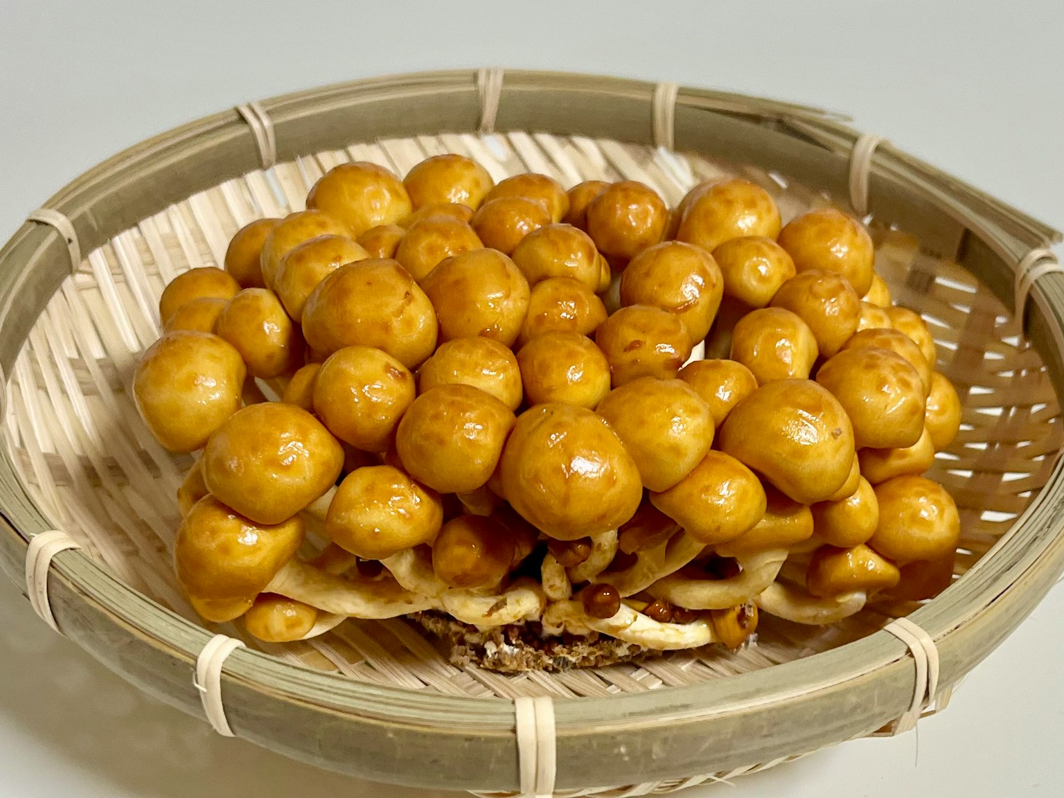 編織籃子裡的金色蘑菇群