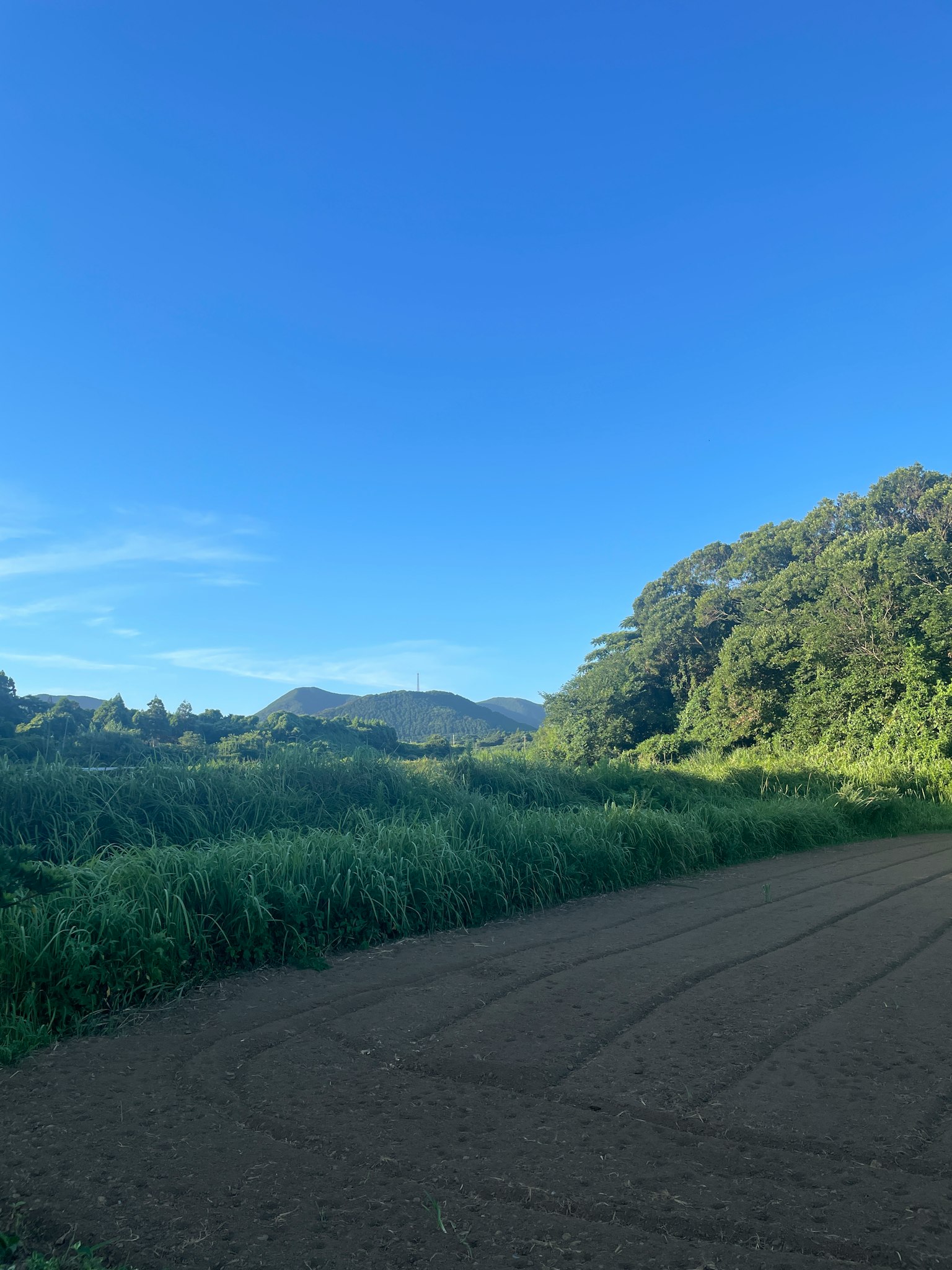 Landschaft mit blauem Himmel und grünen Hügeln mit einem Schotterweg und Wiesen