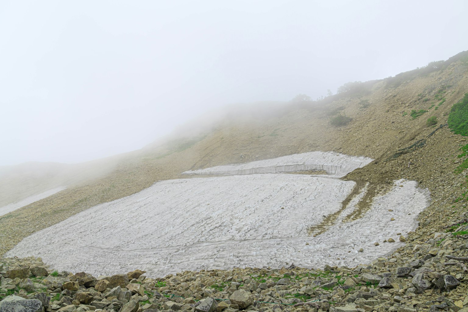 Macchia di neve su una collina avvolta nella nebbia