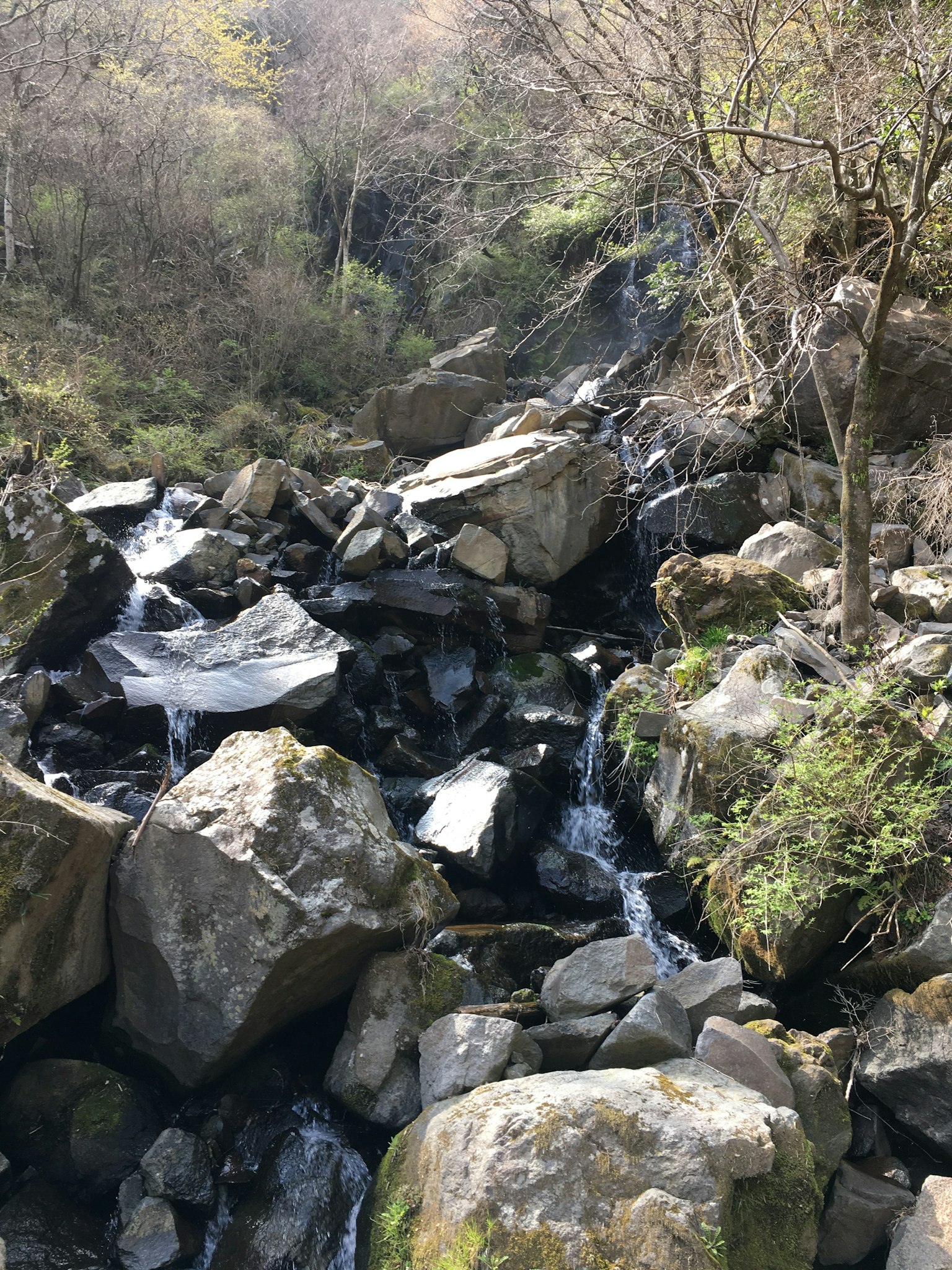 Paysage naturel avec de l'eau qui coule entre les rochers