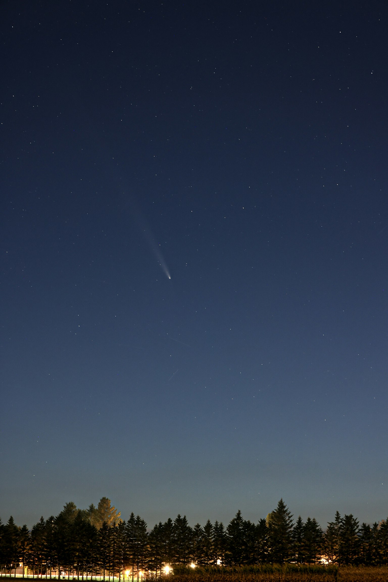 夜空中可見的彗星，星星和輪廓樹木