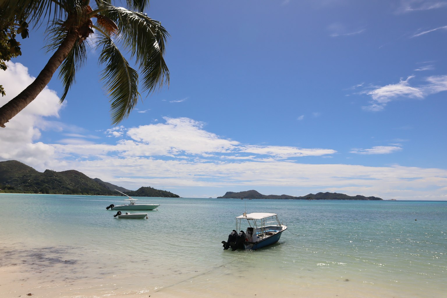 Blaues Meer mit weißem Sandstrand, Boots- und Palmenansicht