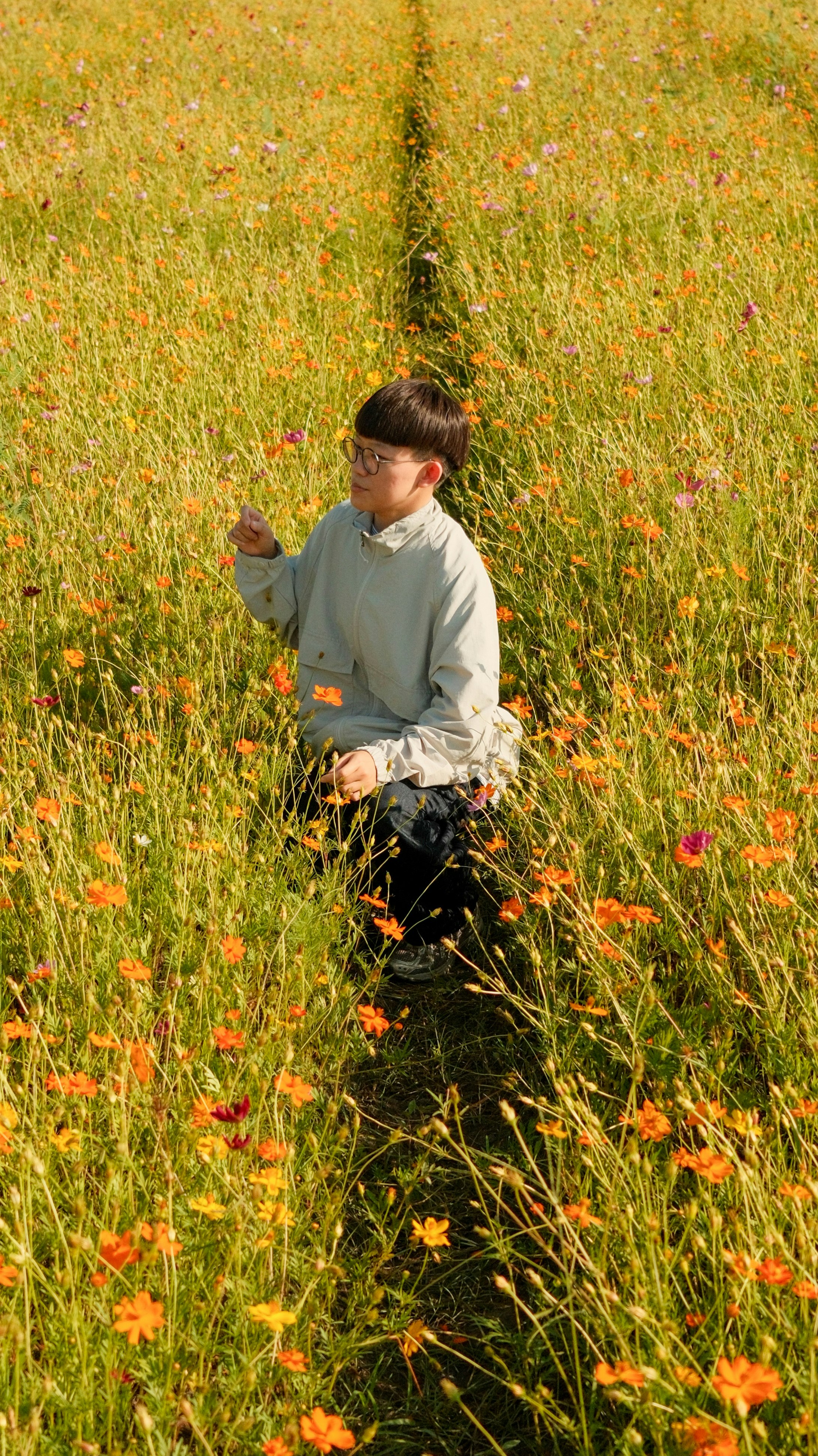 花畑で草花を見つめる子どもの後ろ姿