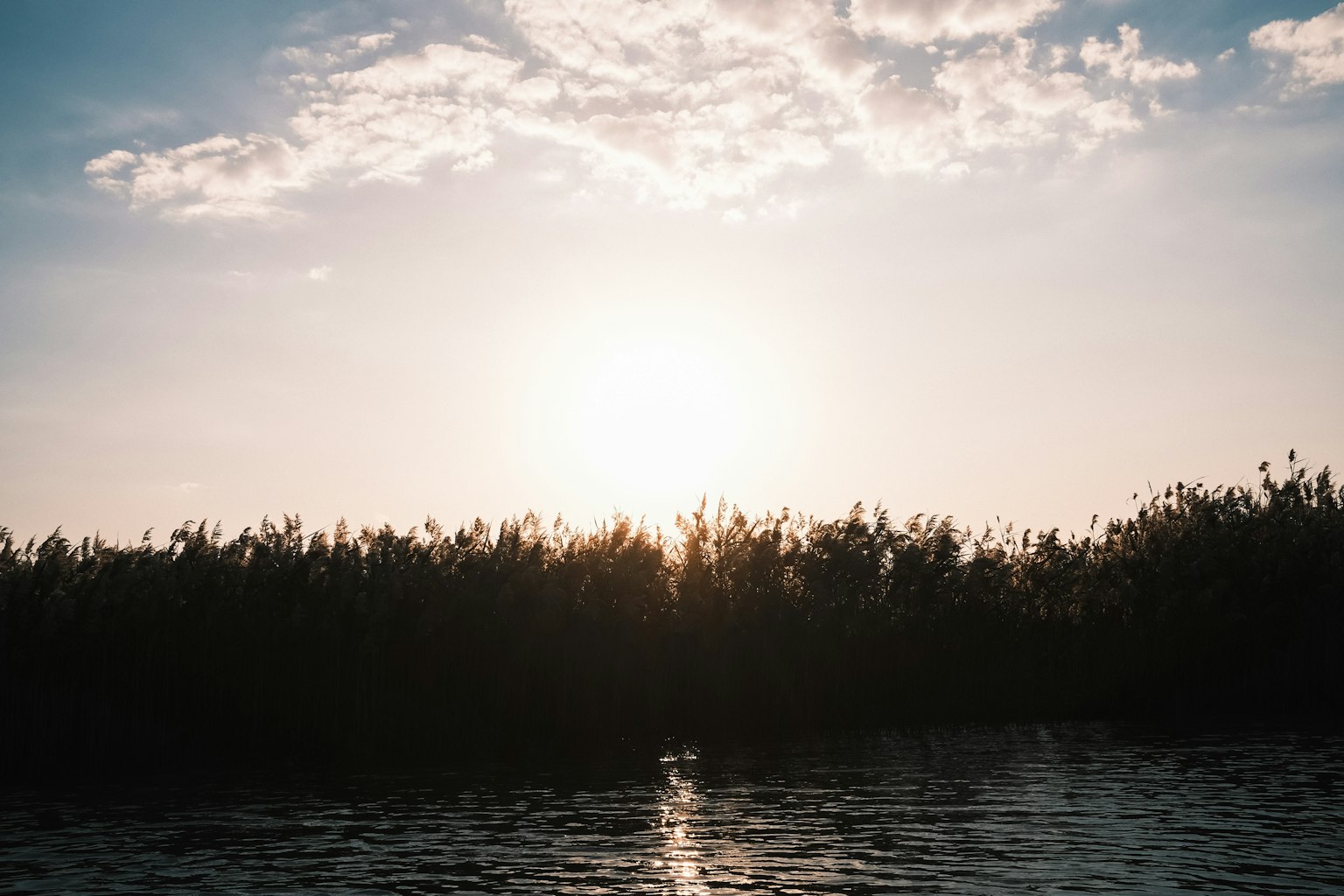 Silueta de vegetación exuberante contra un sol poniente reflejado en el agua