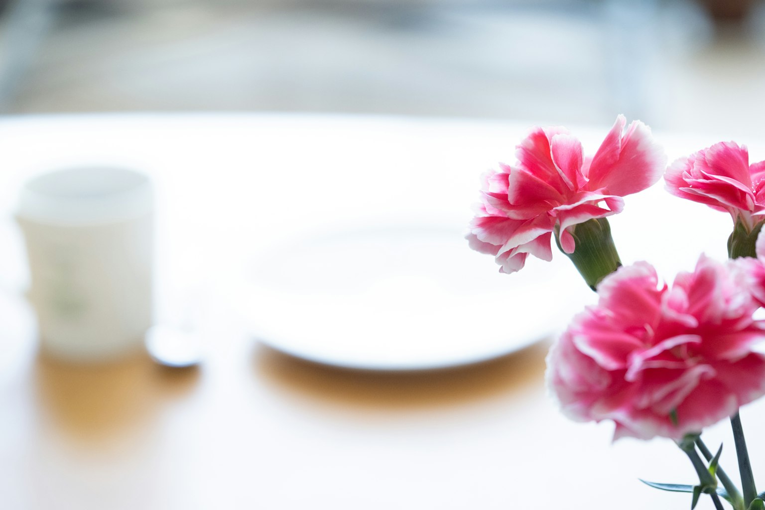 Claveles rosas en una mesa con un plato blanco y una taza