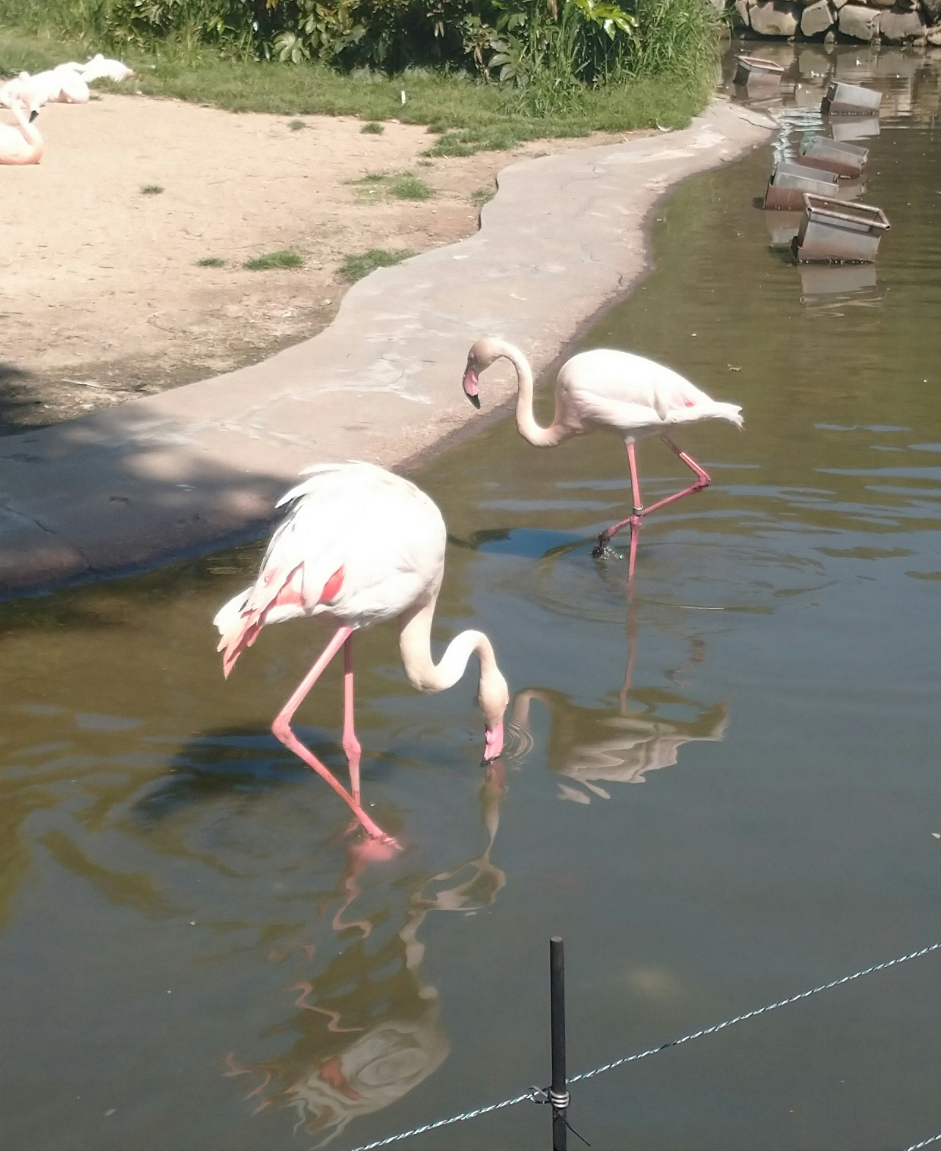 photo-F3ub63Bv0nR4AX70THxp-image