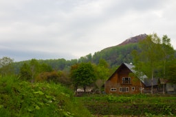 Wooden house surrounded by green trees and mountains