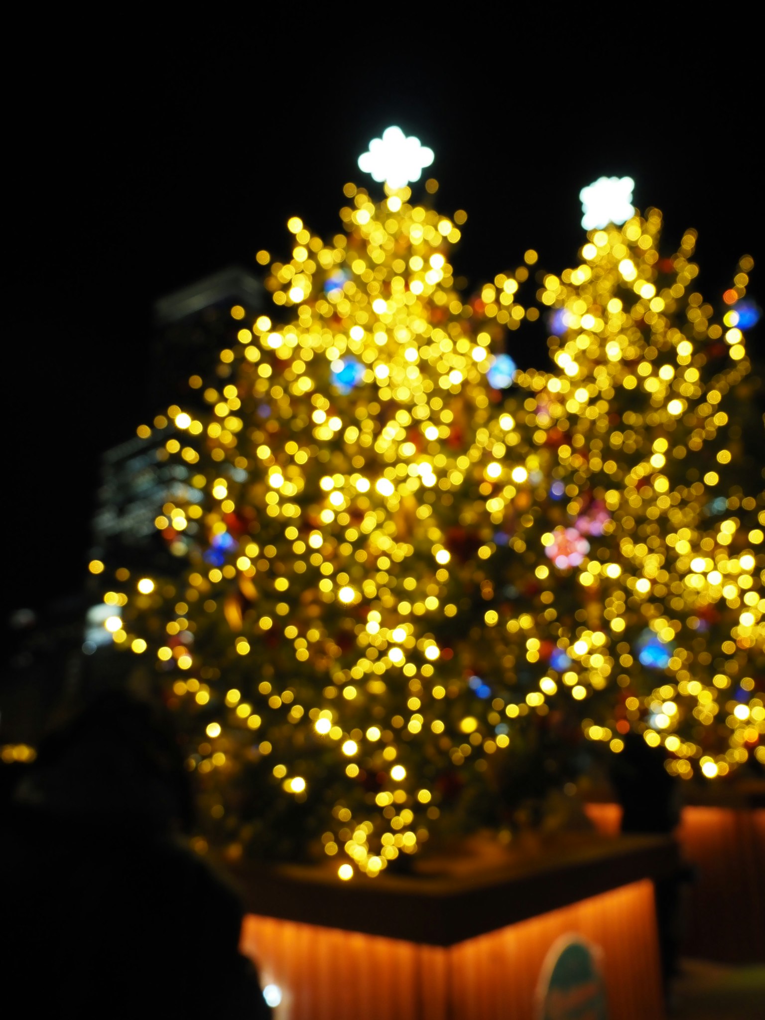 Cây thông Noel sáng đèn trong cảnh đêm