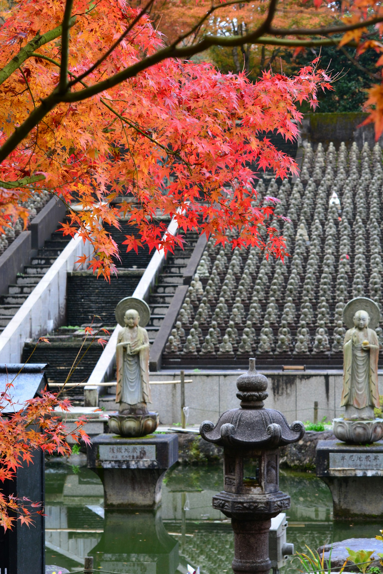 Beautiful garden scene with red-leaved trees and statues of Buddha