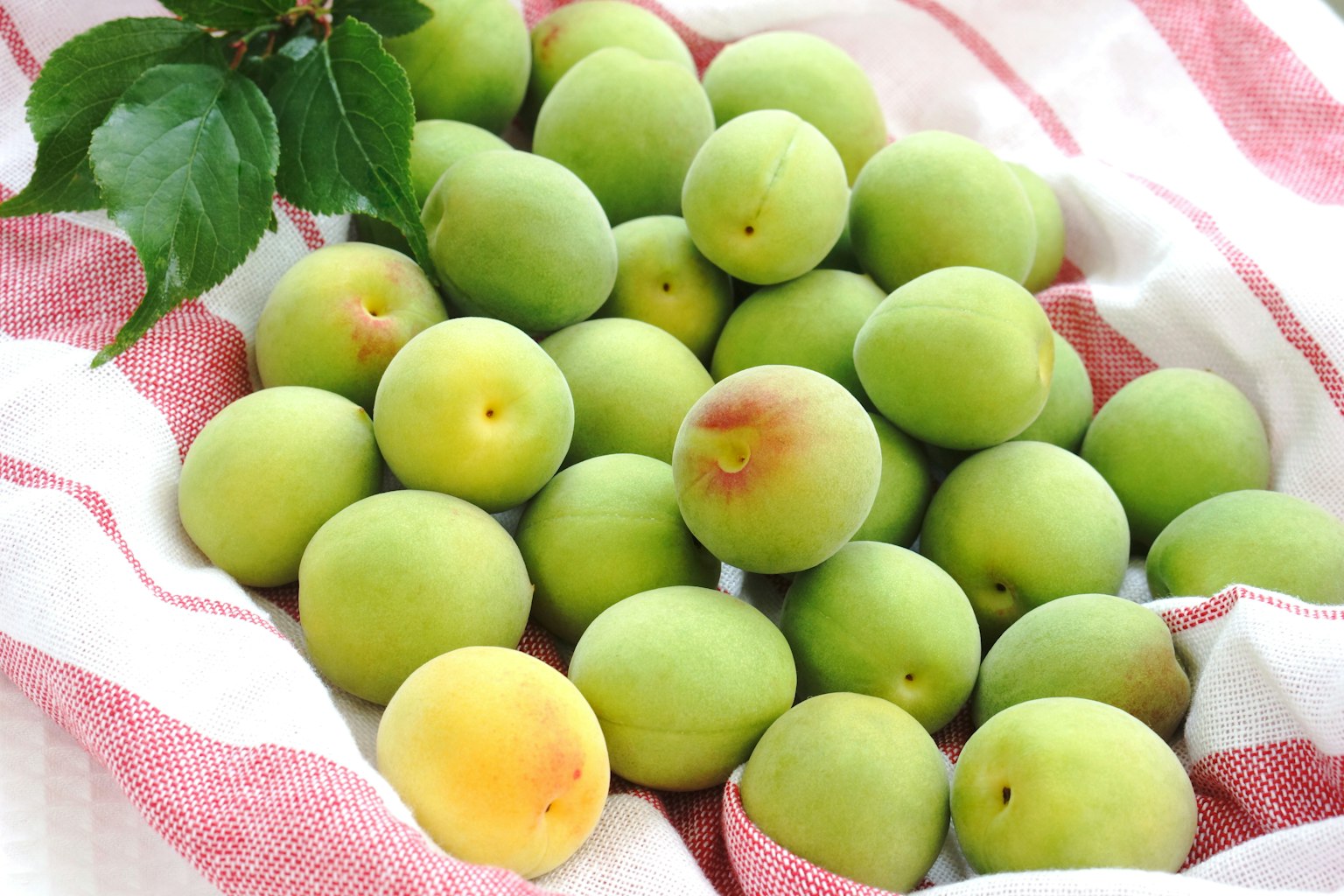 A collection of green plums on a striped white and red cloth