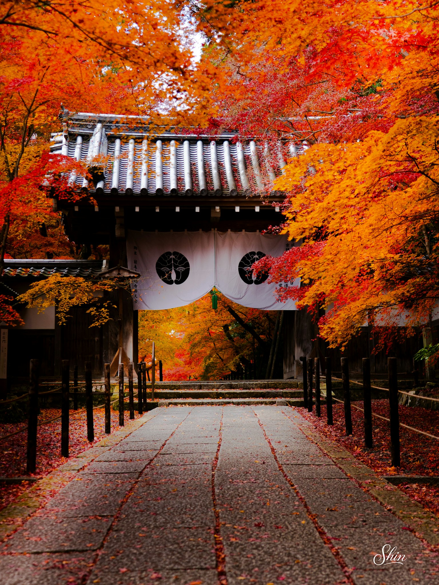 紅葉に囲まれた伝統的な日本の門と石の道