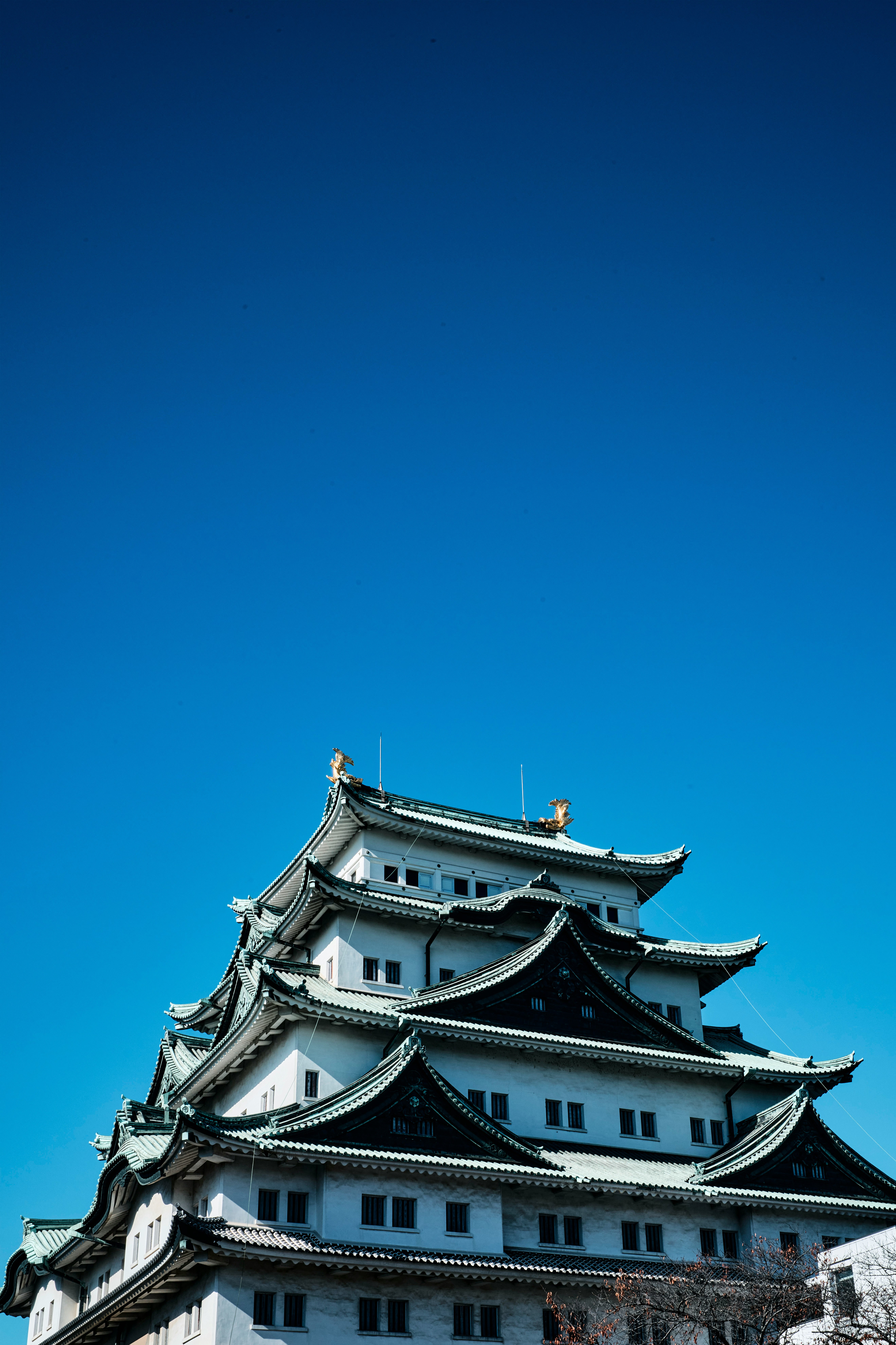 青空の下の名古屋城天守