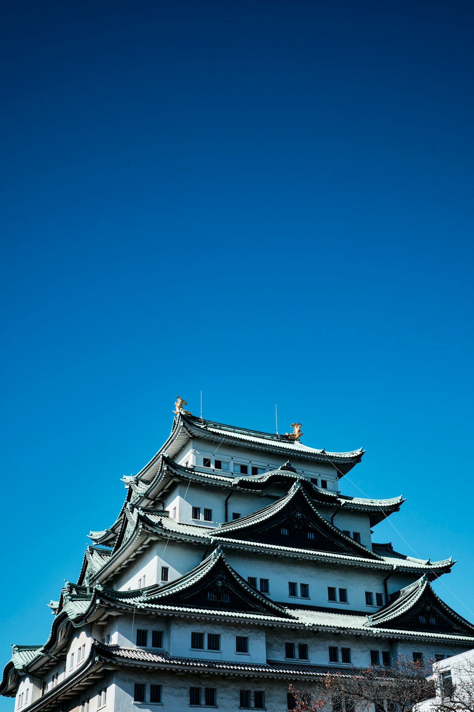 Castello di Nagoya con splendidi tetti contro un cielo blu