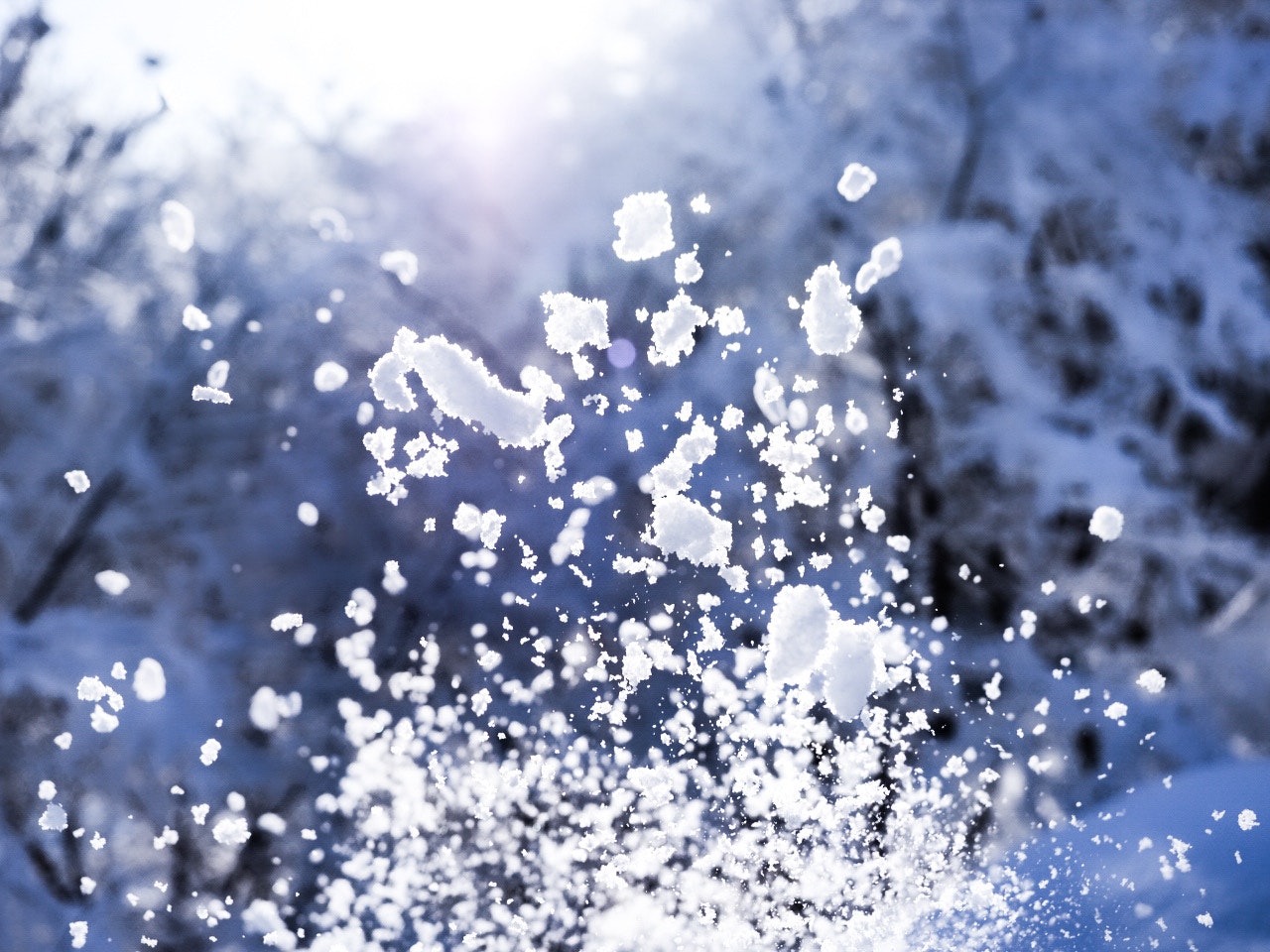 雪の結晶が舞う粉雪のクローズアップ