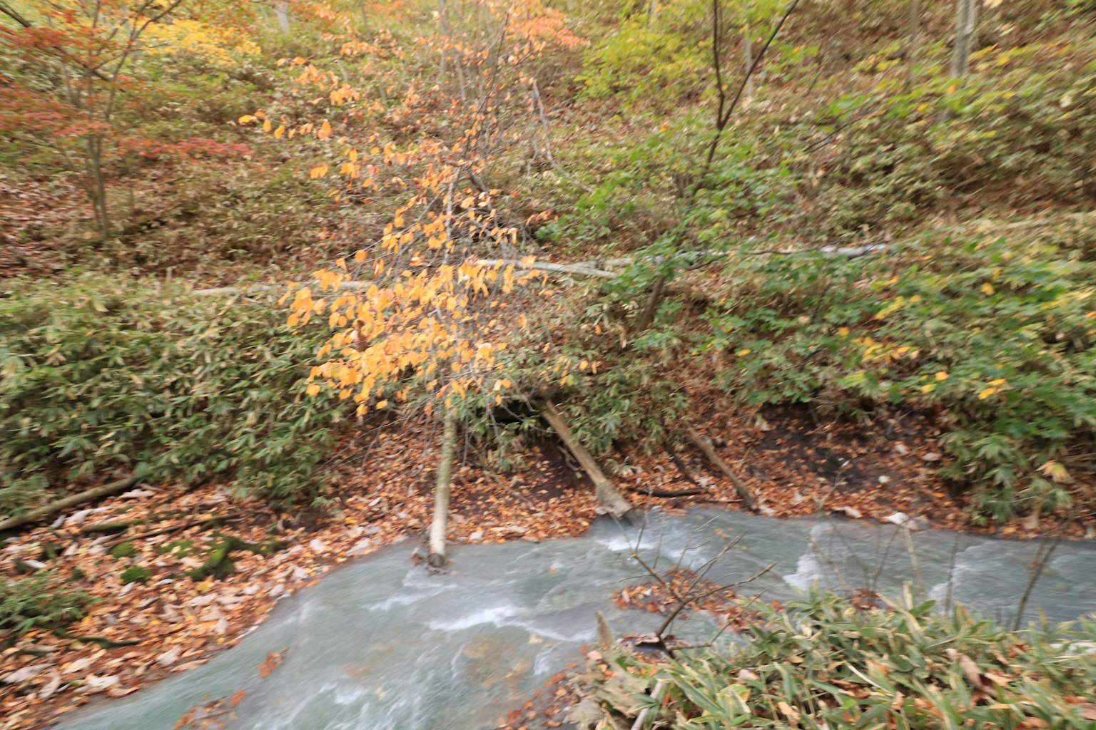 Herbstlandschaft mit einem Bach und Bäumen