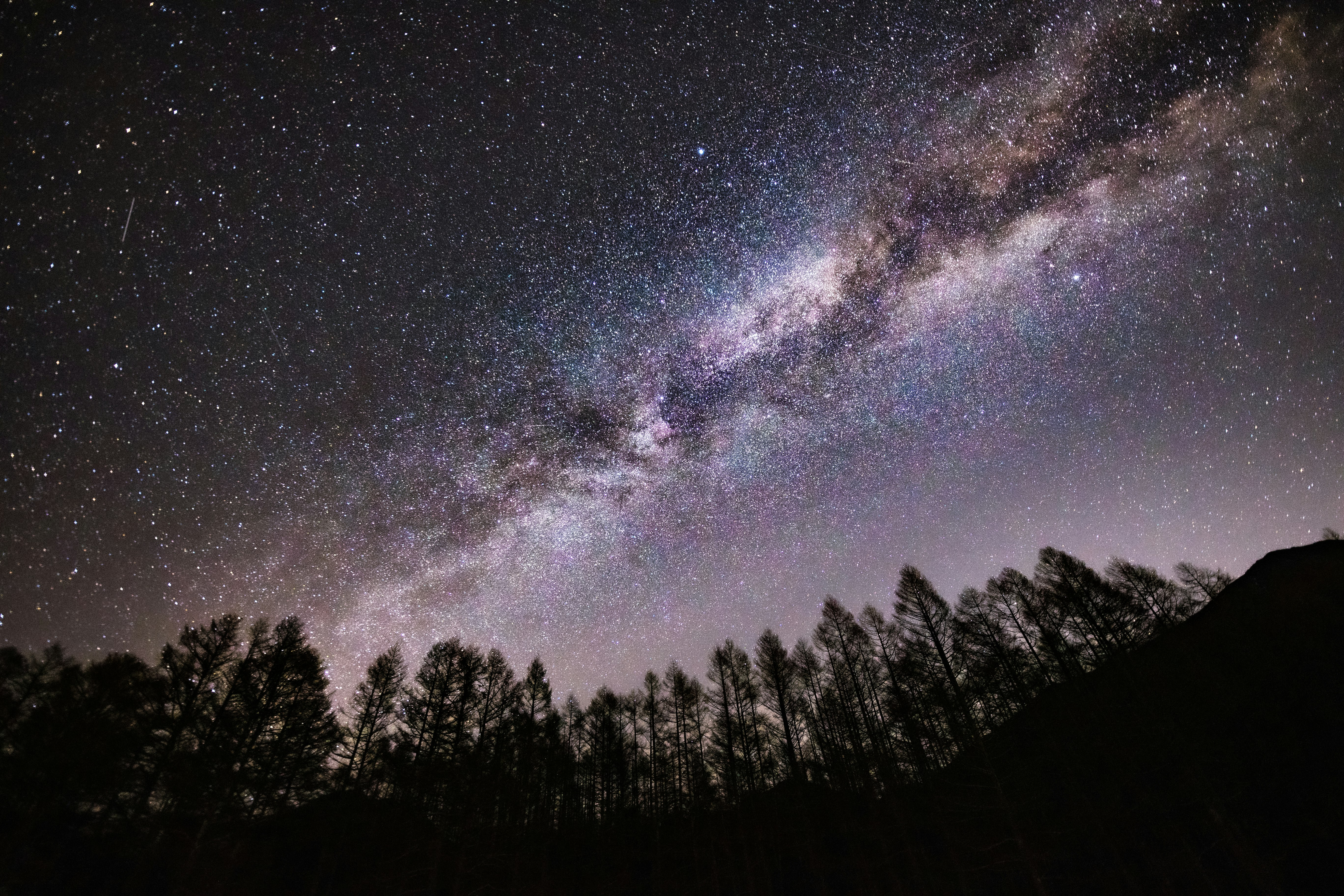 夜空に広がる天の川と森のシルエット