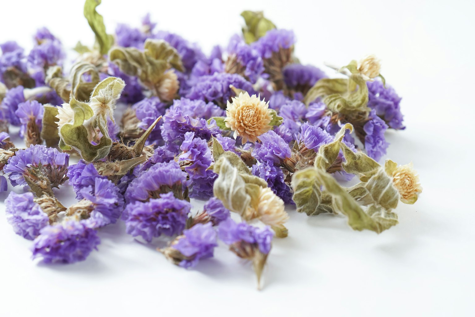 Arrangement de fleurs séchées violettes avec des feuilles vertes