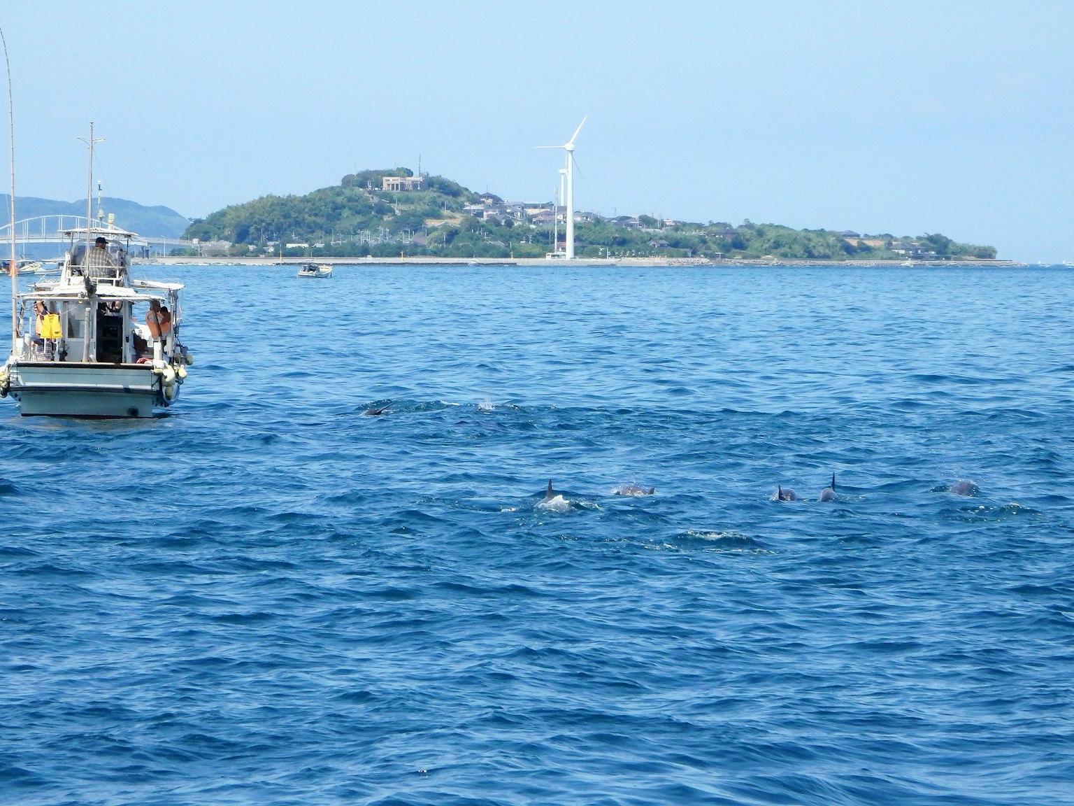Une vue pittoresque d'un petit bateau et d'un groupe de dauphins dans l'océan bleu