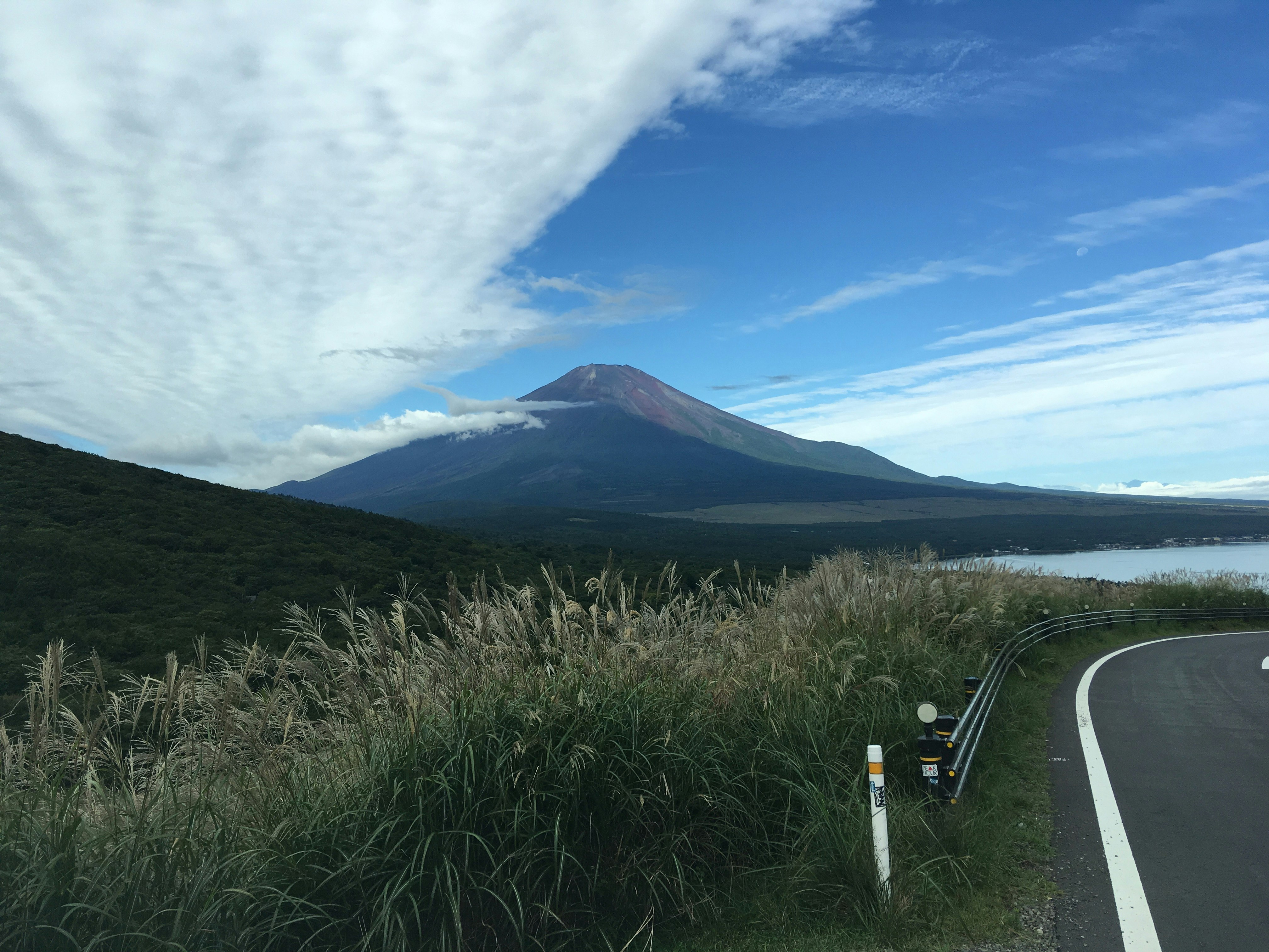 草原の小道と遠くにそびえる山の風景