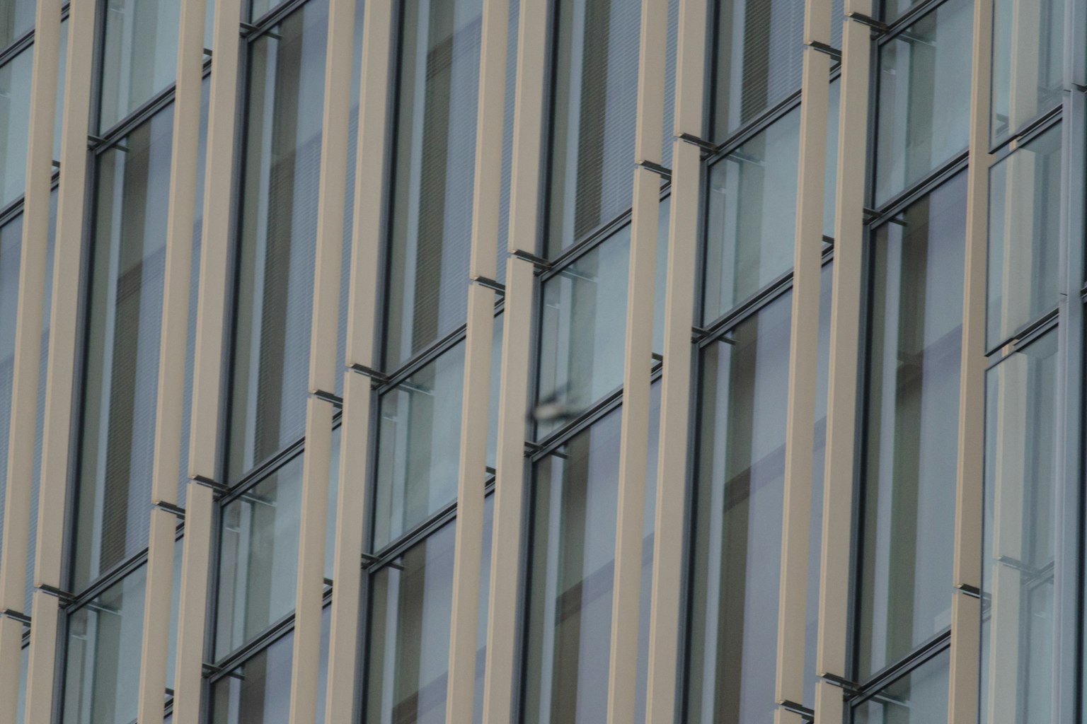 Nahaufnahme einer Gebäude-Fassade mit Glas- und Metallstreifen