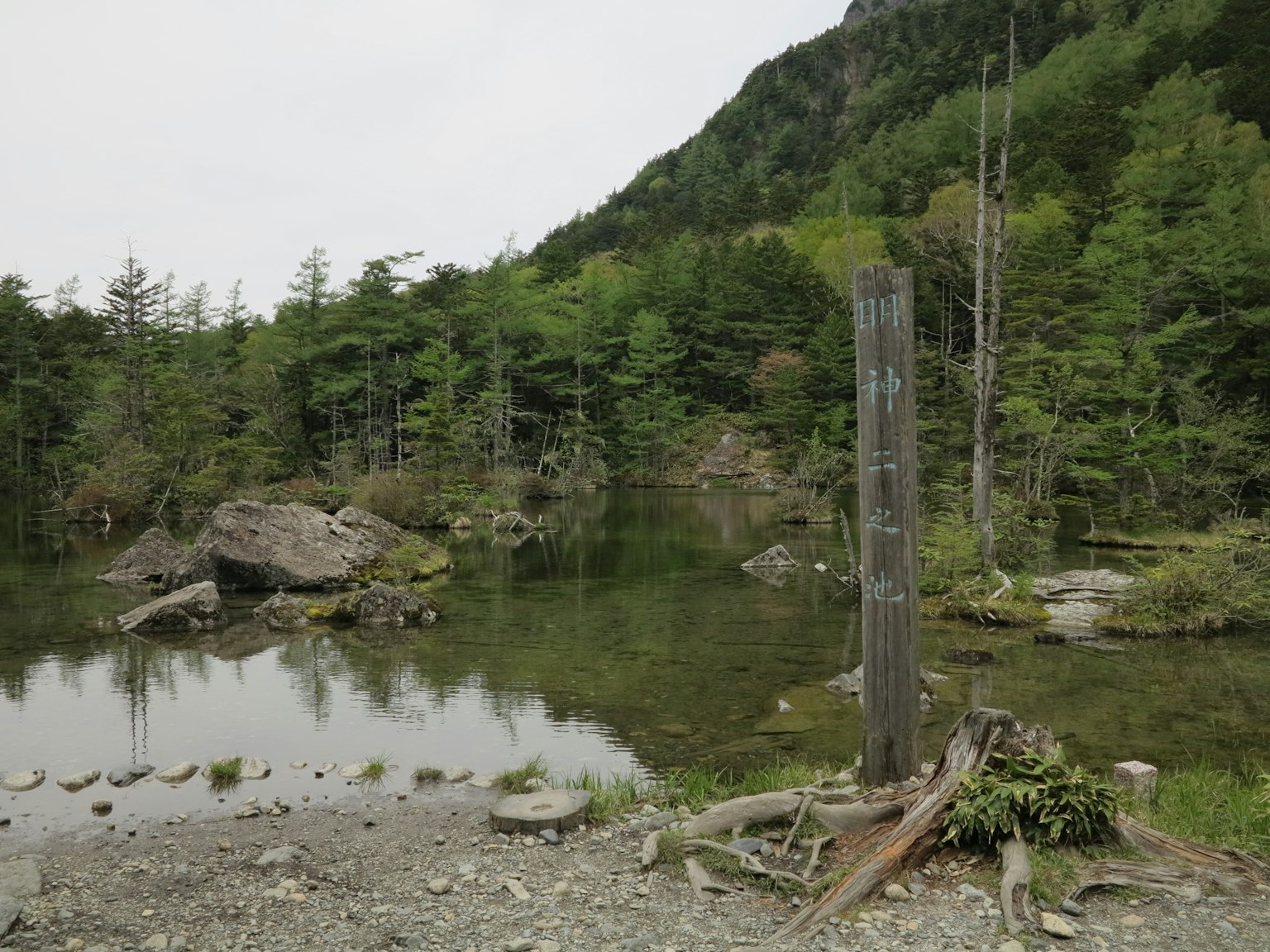 Serene lake surrounded by green trees with an old post standing
