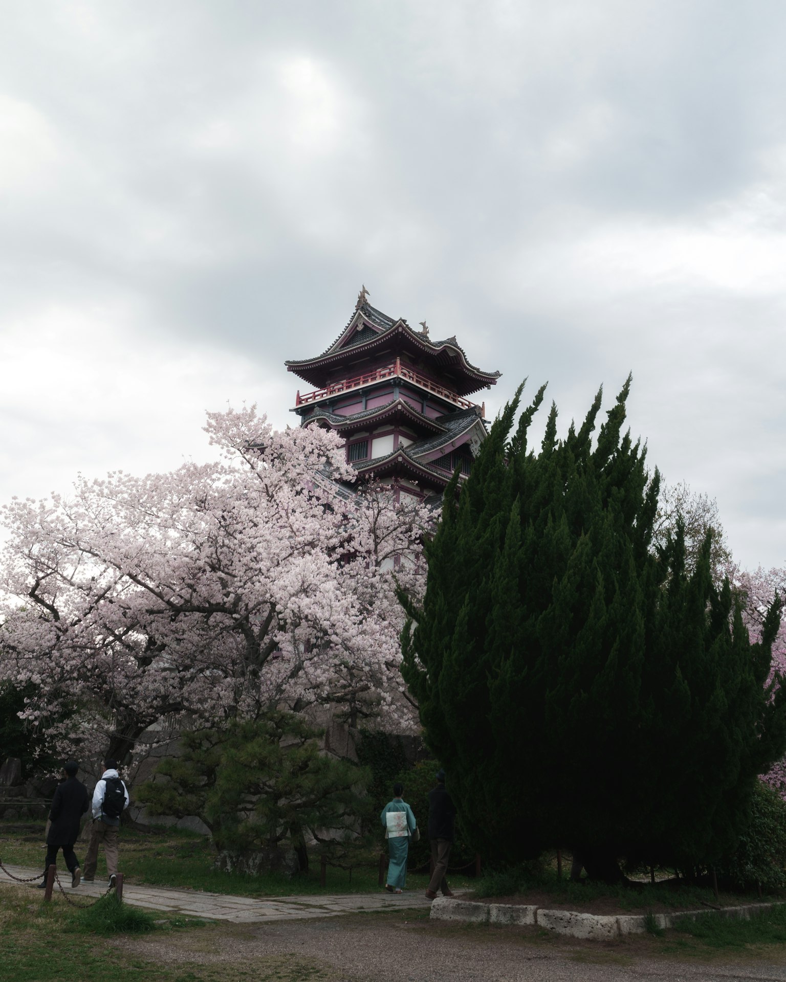 Paesaggio con alberi di ciliegio in fiore e torre di castello