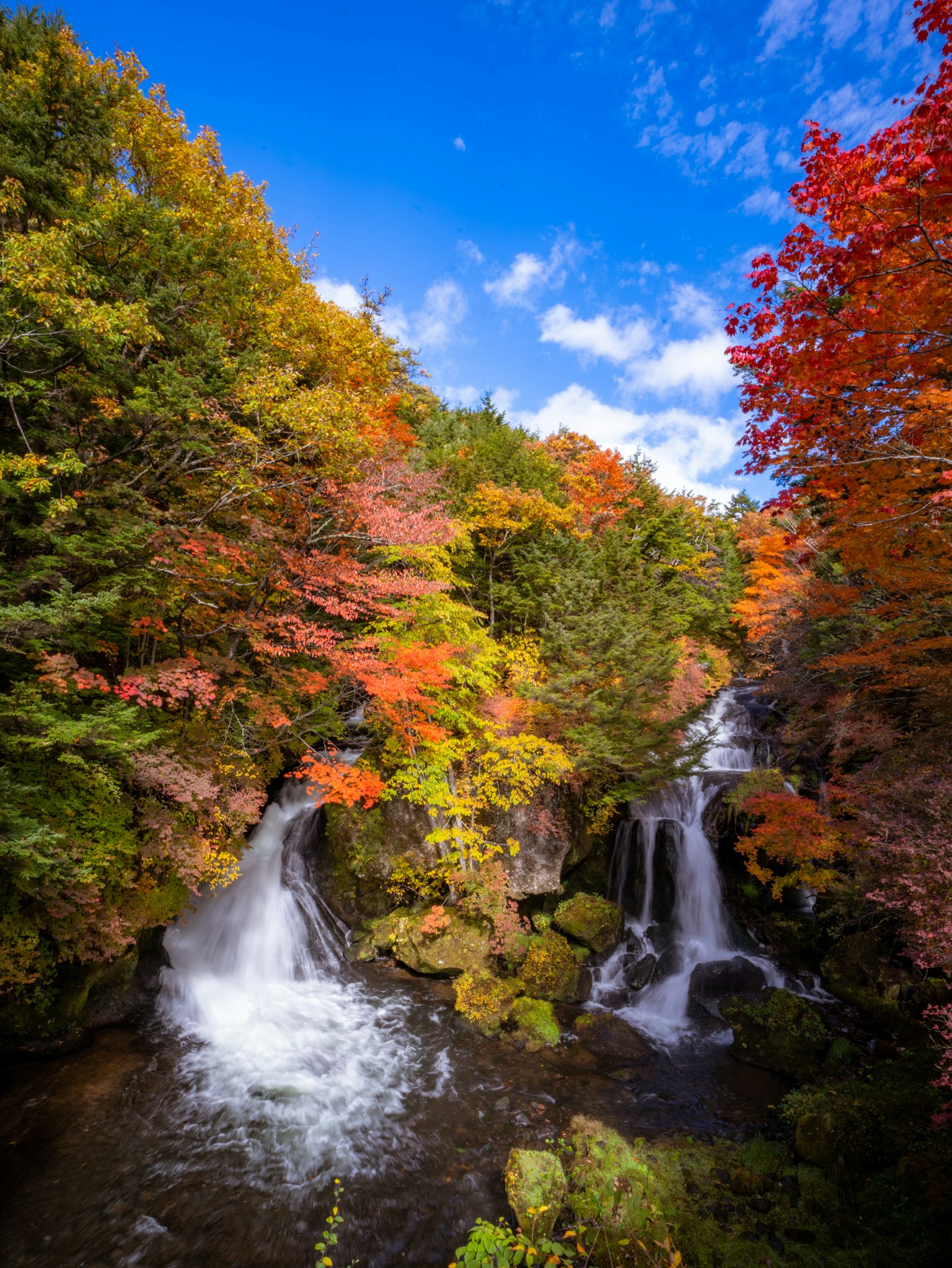 秋叶环绕的瀑布风景