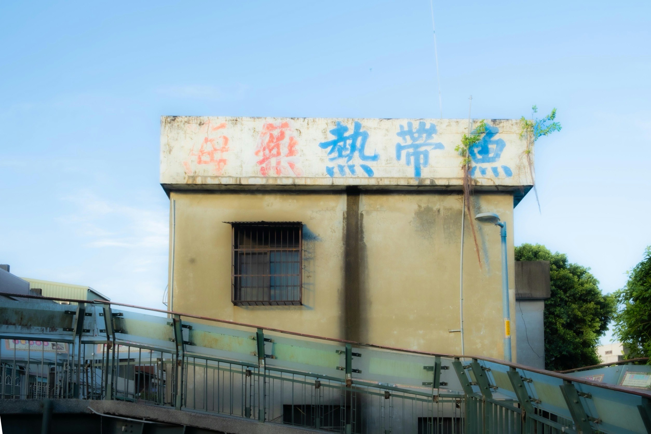 鶯歌の工房風の建物外観と青い看板のある壁面