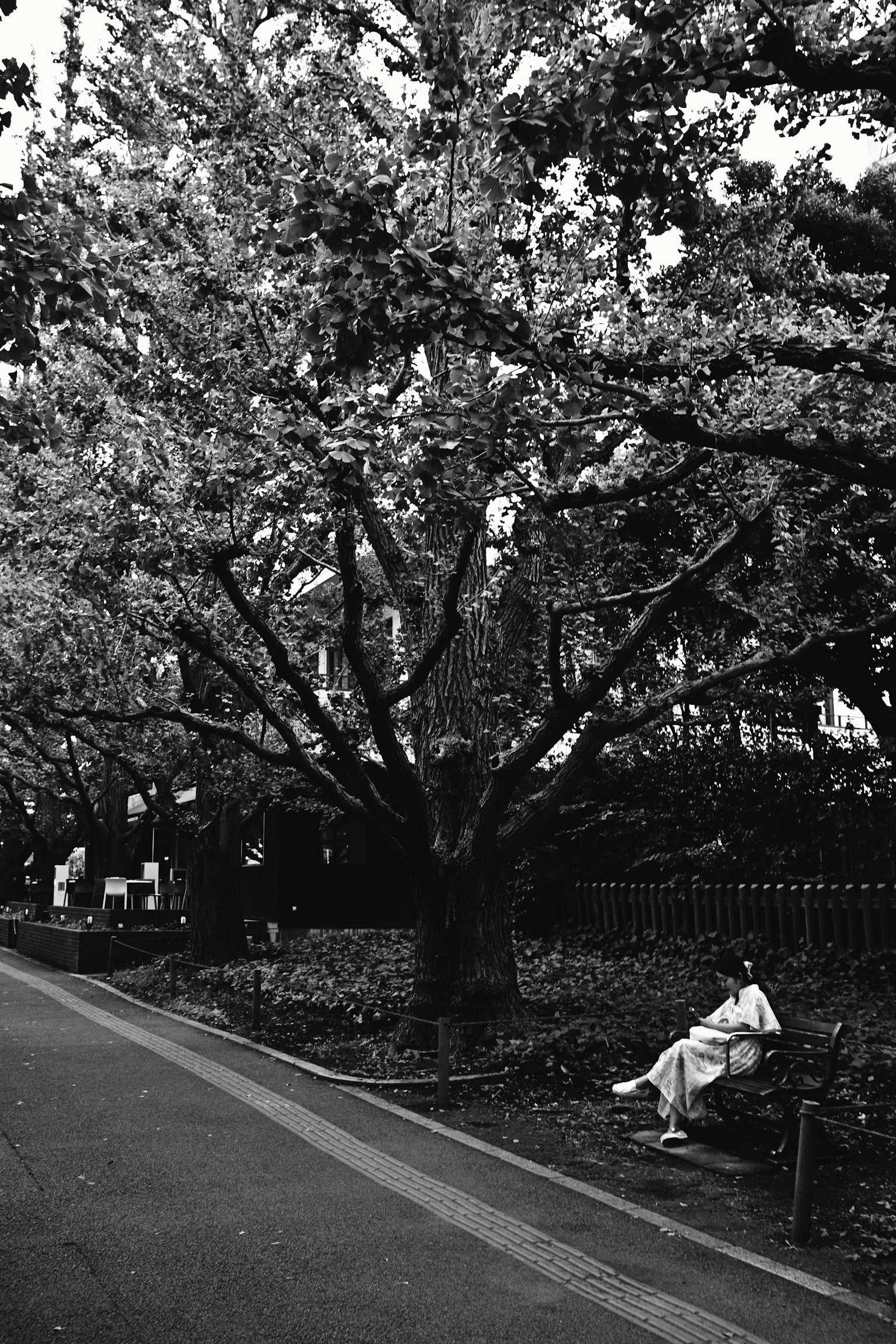 Seorang wanita duduk di bawah pohon sakura besar di taman